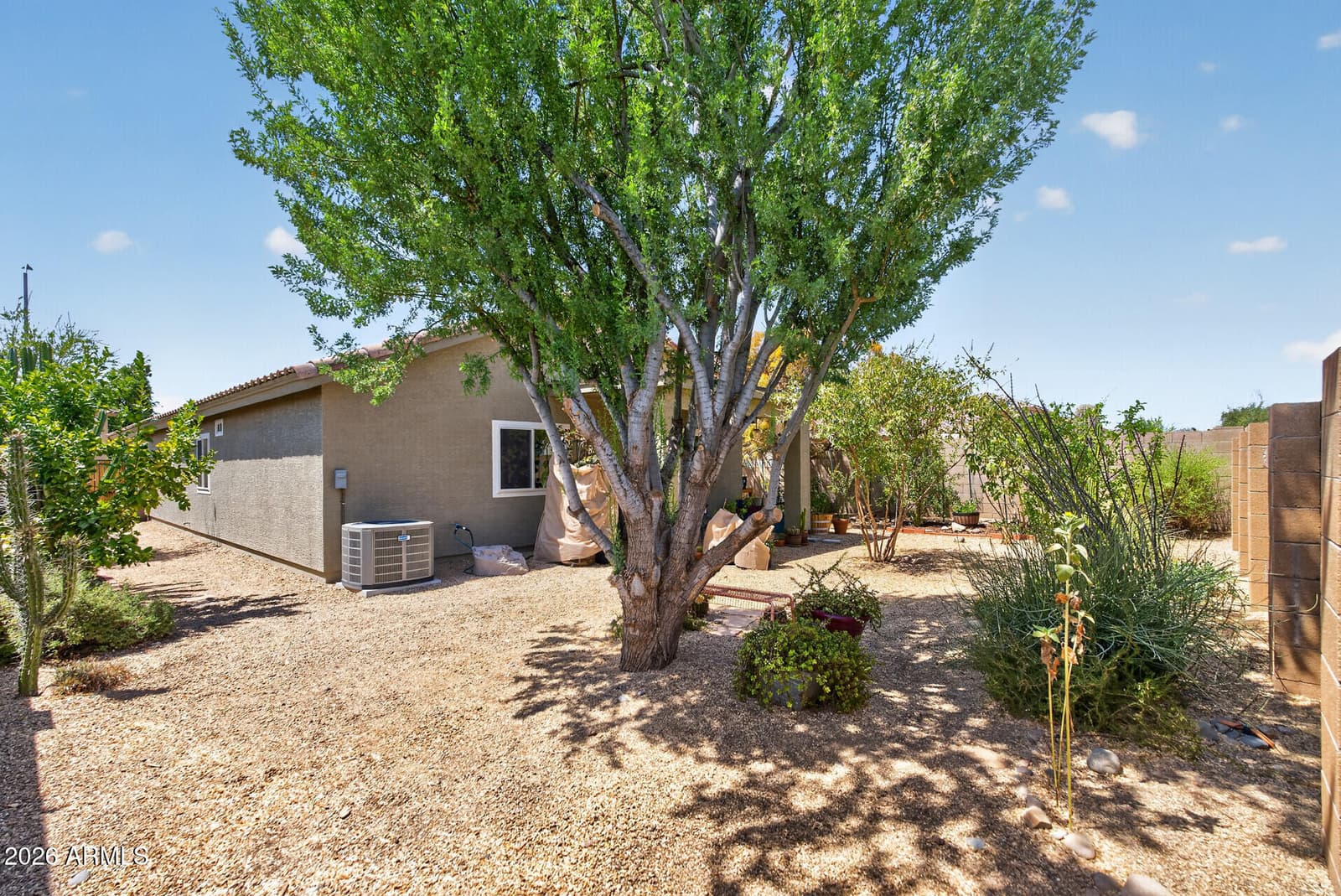 11805 N PABLO Street, El Mirage, AZ 85335 — photo 53 of 60