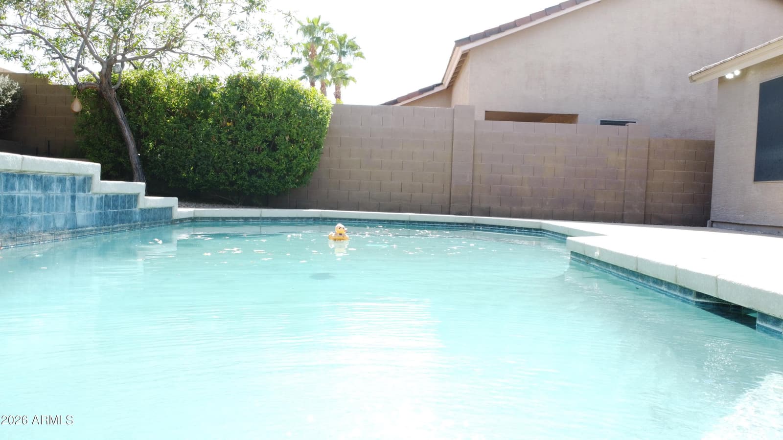 1743 E BRANHAM Lane, Phoenix, AZ 85042 — photo 38 of 44