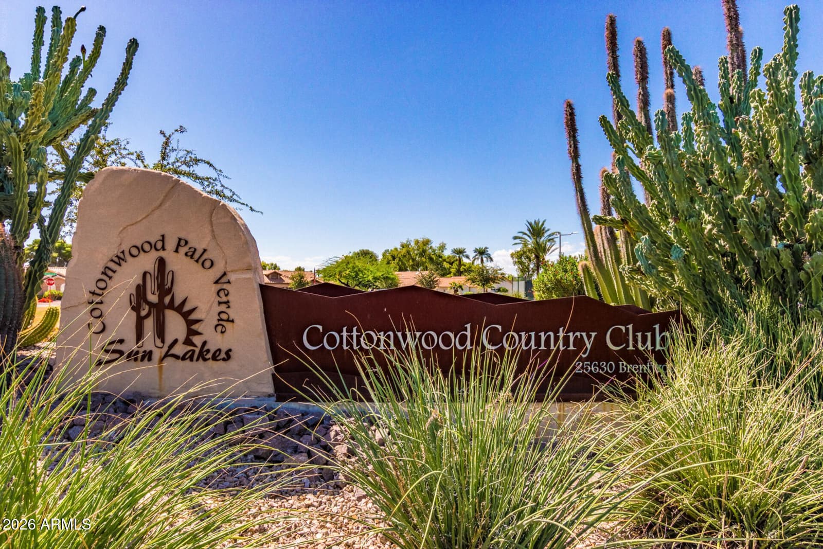 25244 S BERRY BROOK Drive, Sun Lakes, AZ 85248 — photo 37 of 47