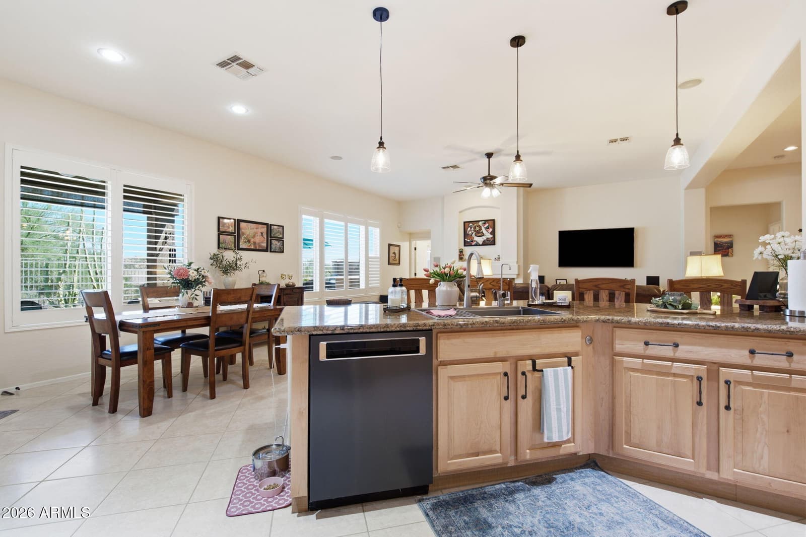 4127 S TIGRE DEL MAR Drive S, Gold Canyon, AZ 85118 — photo 39 of 60