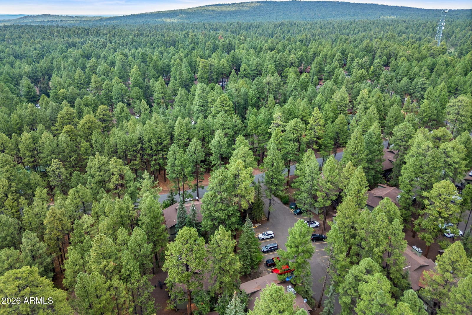 4455 RESORT Loop 24, Pinetop, AZ 85935 — photo 33 of 35