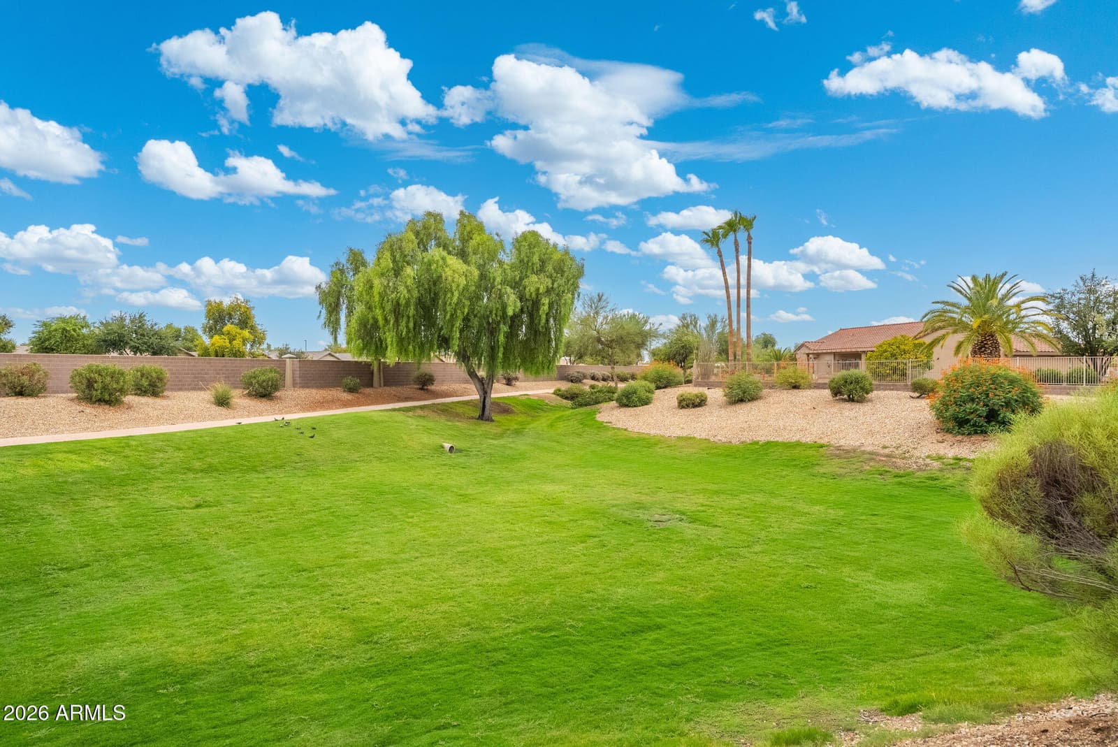 15247 W Pasadena Drive, Surprise, AZ 85374 — photo 3 of 59