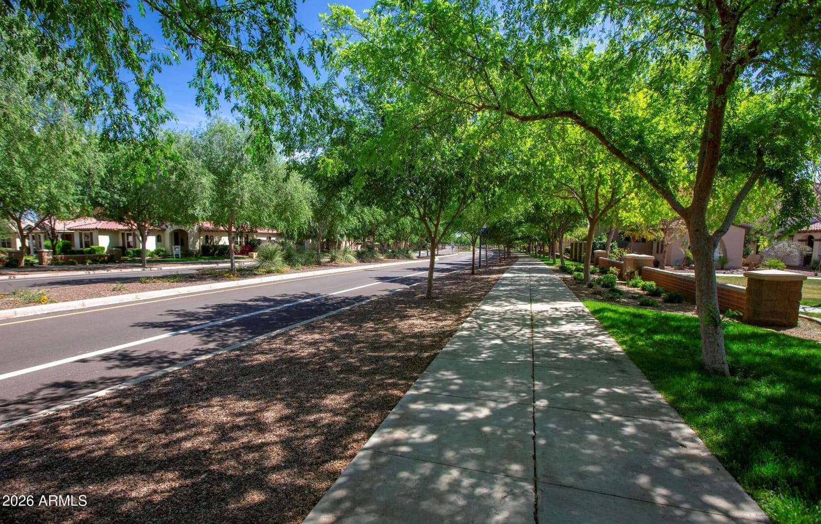 14651 W LARKSPUR Drive, Surprise, AZ 85379 — photo 58 of 76