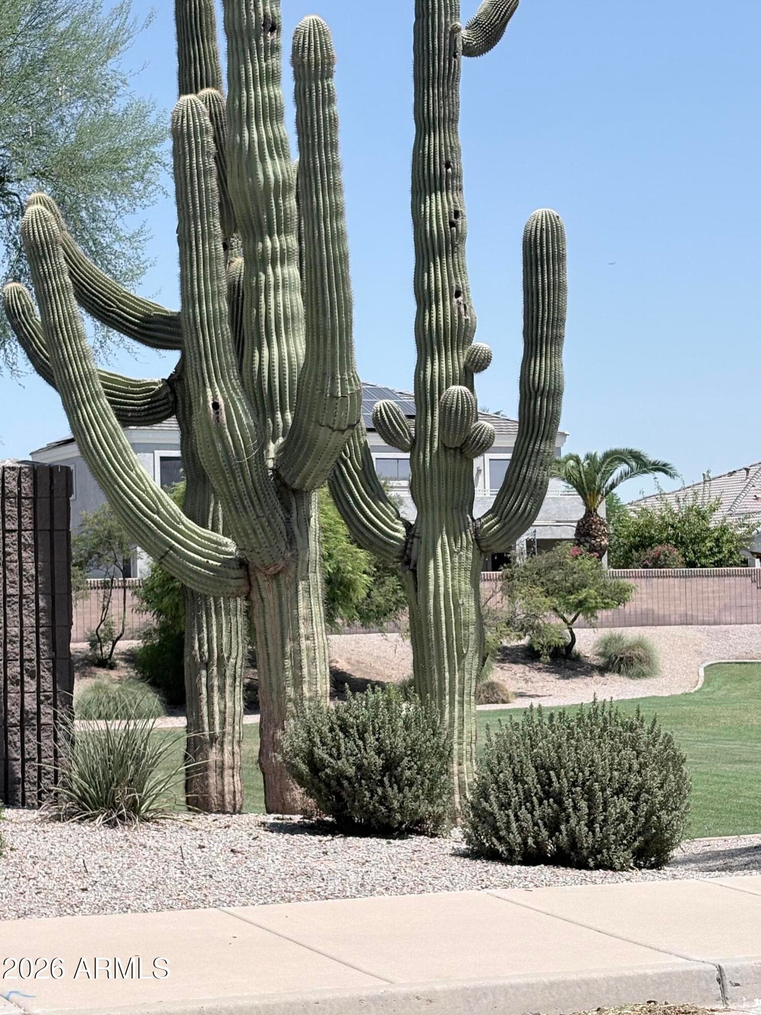 59 E HOPKINS Road, Gilbert, AZ 85295 — photo 39 of 42