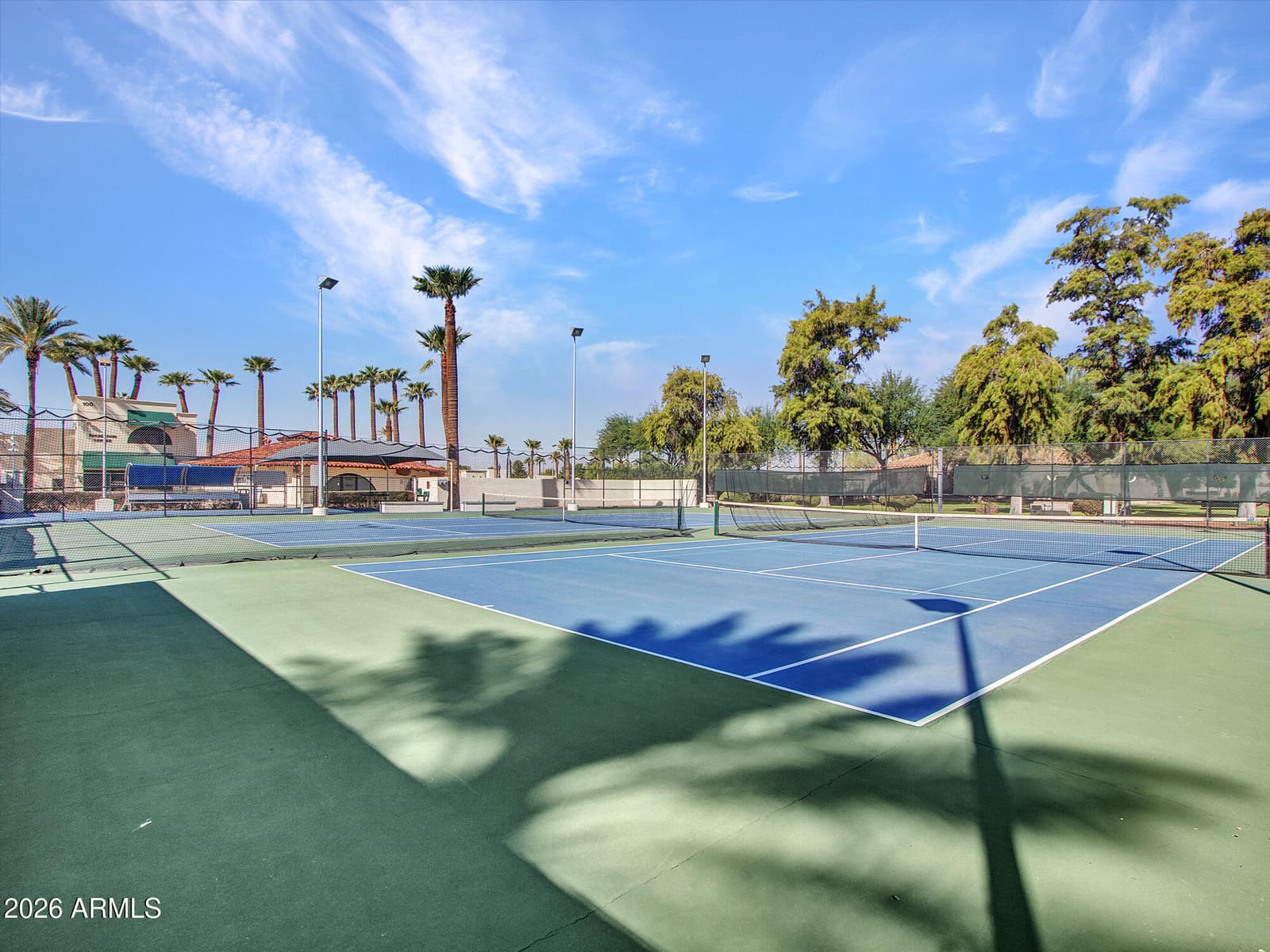 297 S HACIENDA Circle, Litchfield Park, AZ 85340 — photo 92 of 117