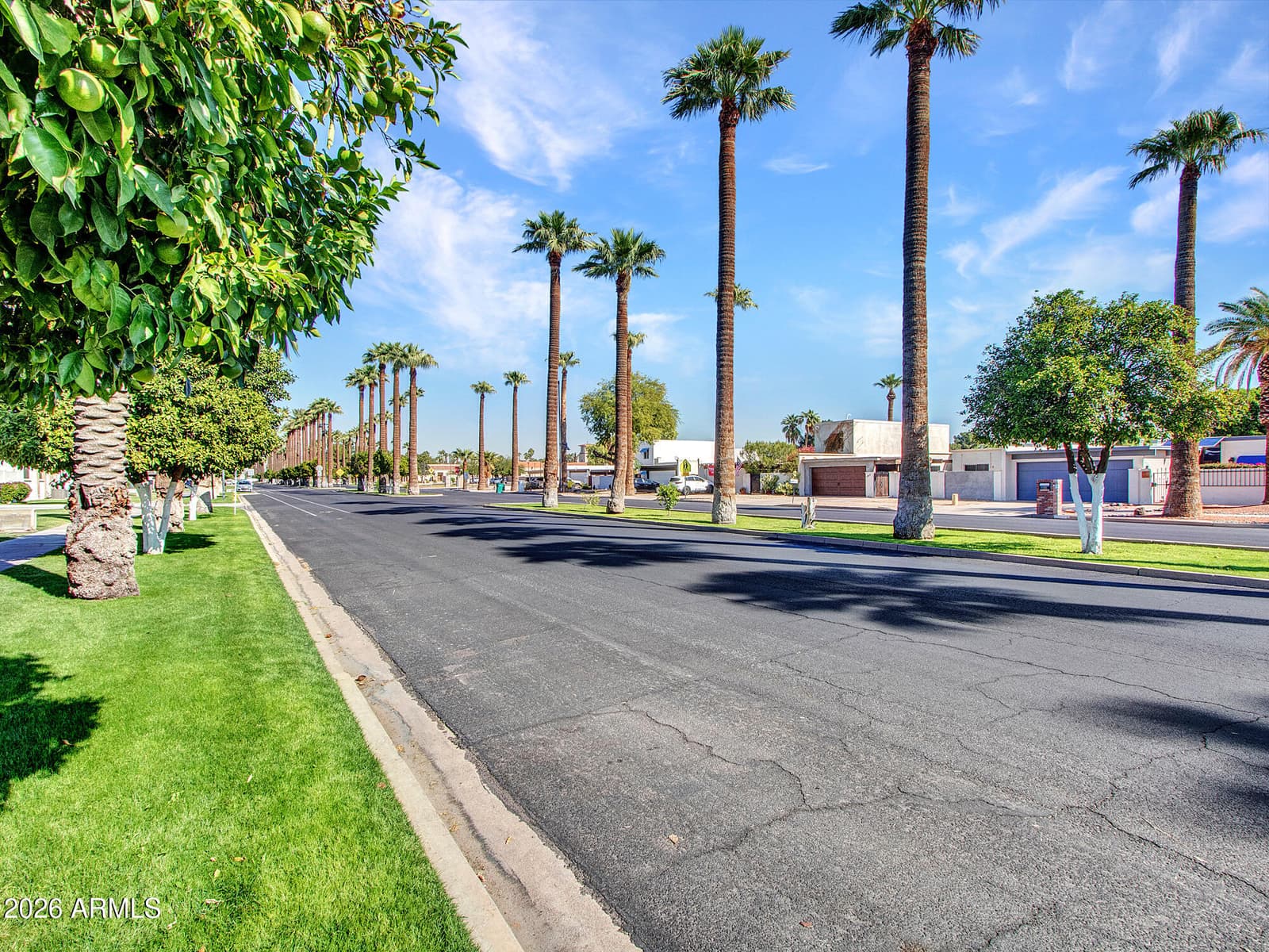 297 S HACIENDA Circle, Litchfield Park, AZ 85340 — photo 99 of 117