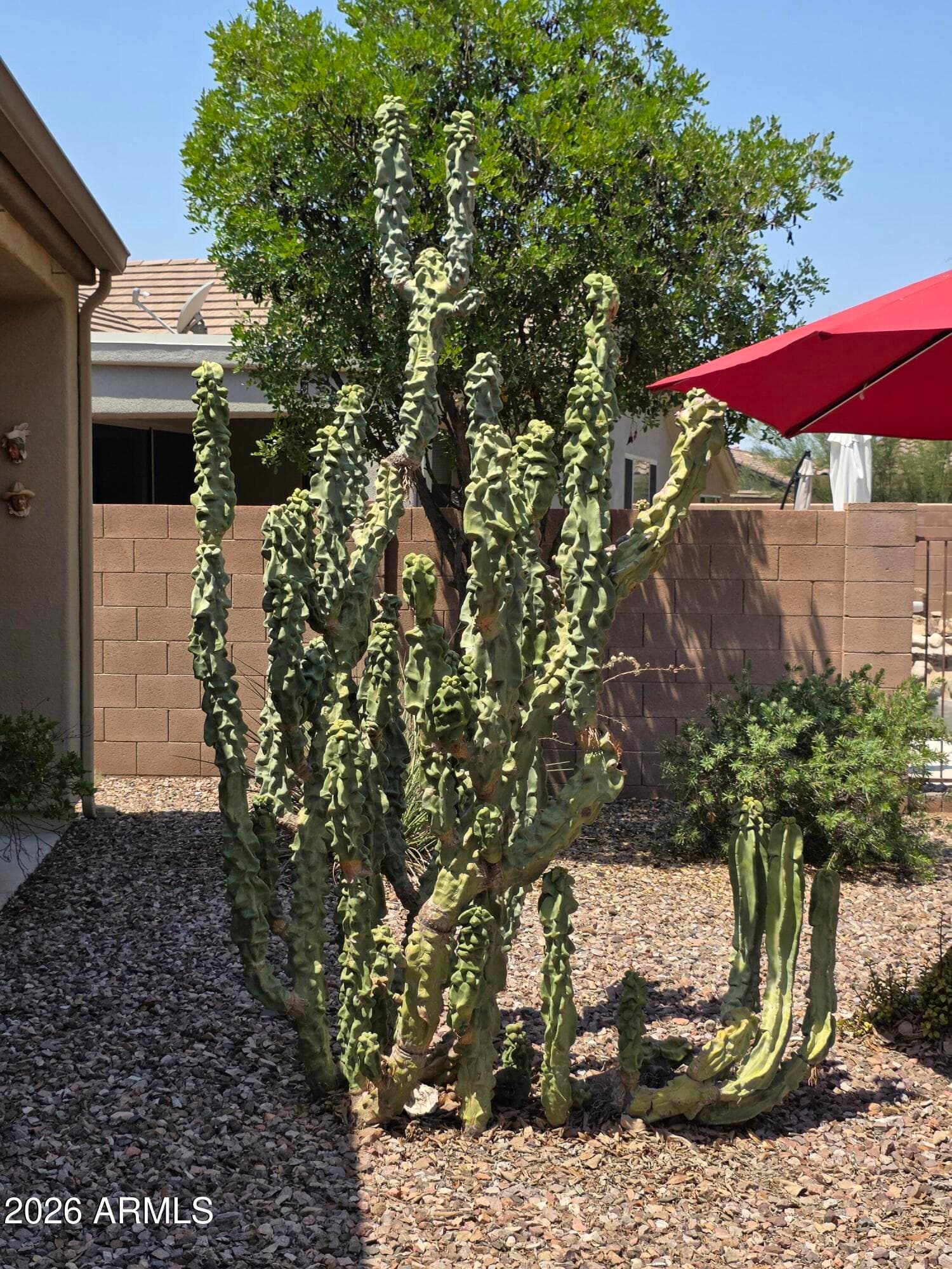 1650 W DION Drive, Phoenix, AZ 85086 — photo 45 of 57