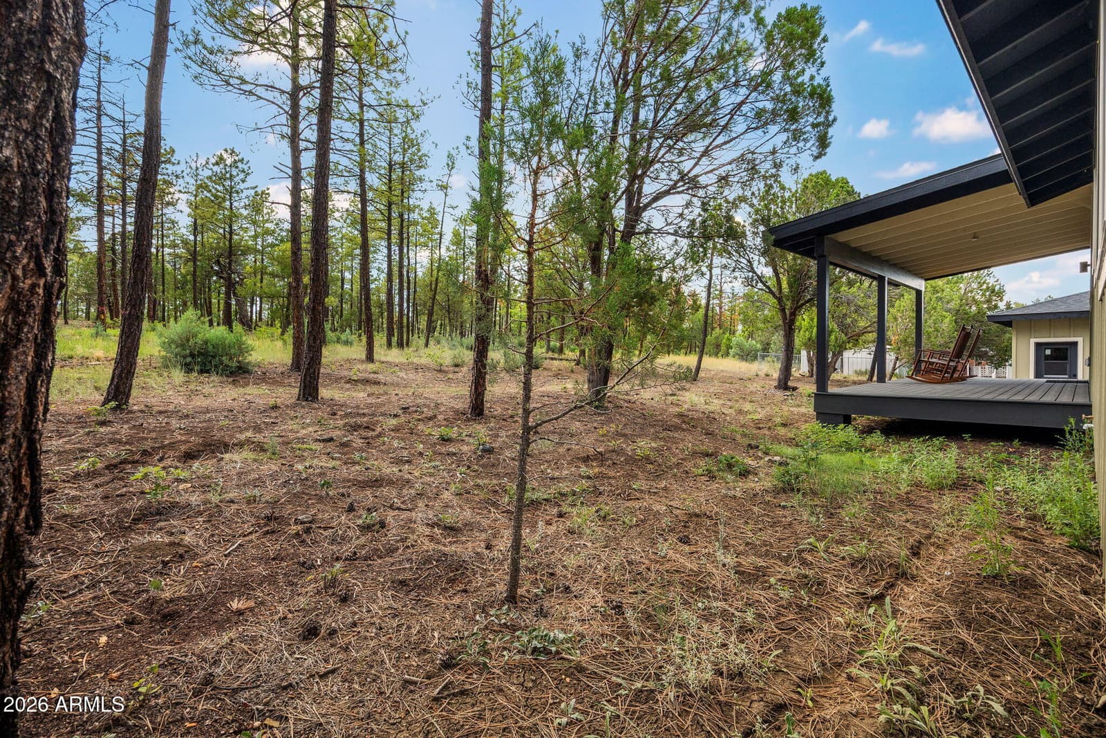 884 TURKEY Trail, Lakeside, AZ 85929 — photo 29 of 53