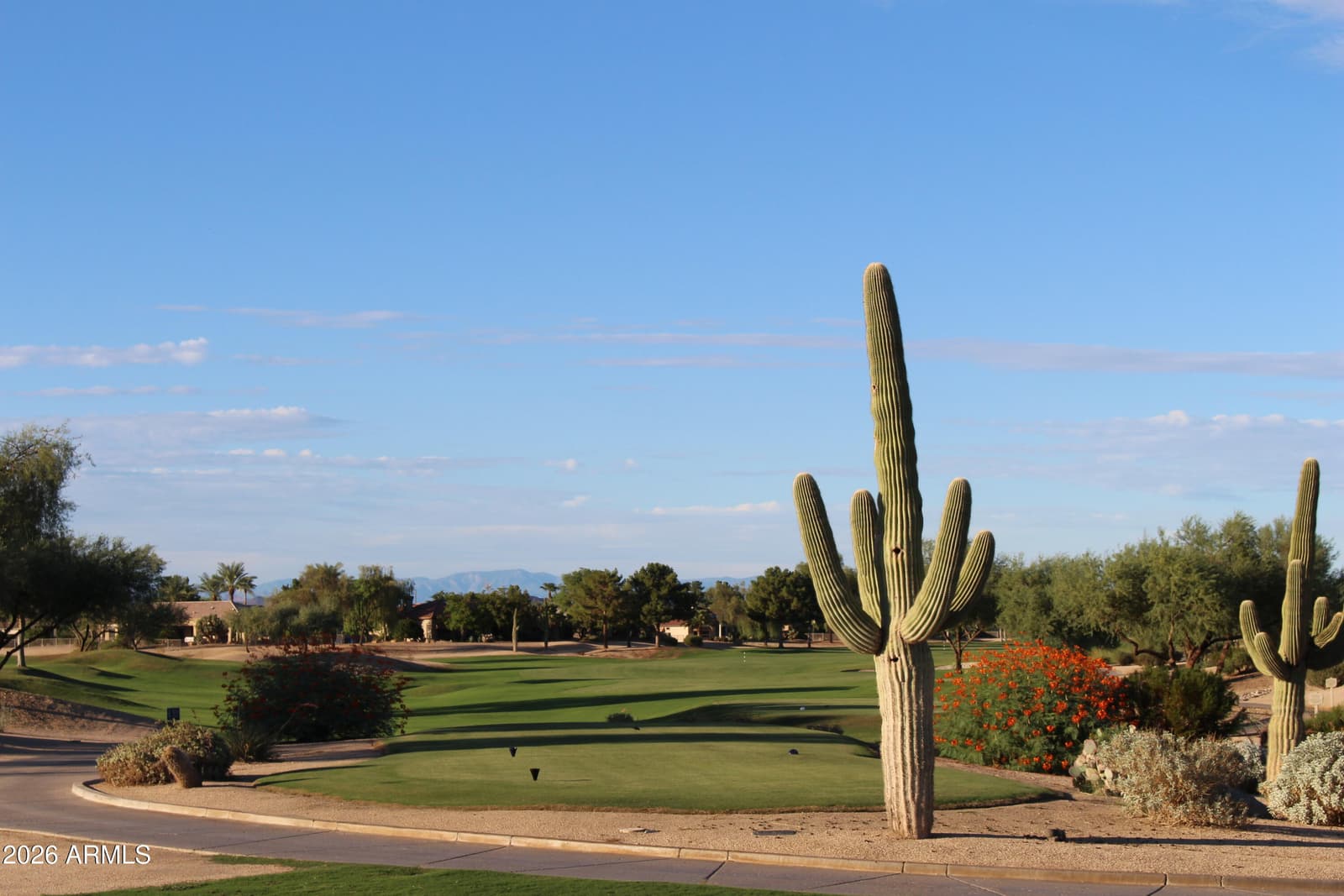 15626 W VISTA GRANDE Lane, Surprise, AZ 85374 — photo 39 of 46