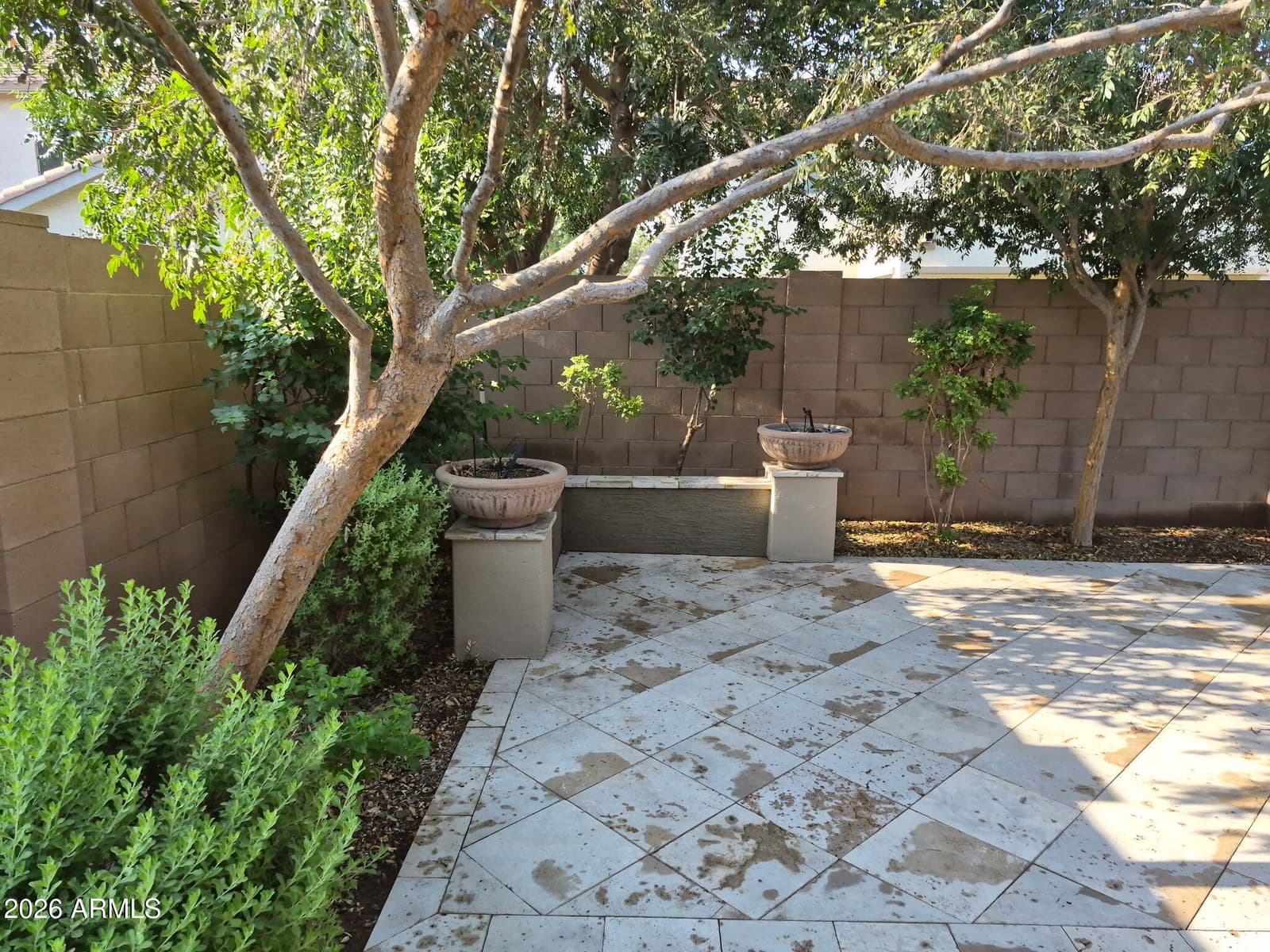 2543 E Penedes Drive, Gilbert, AZ 85298 — photo 9 of 27