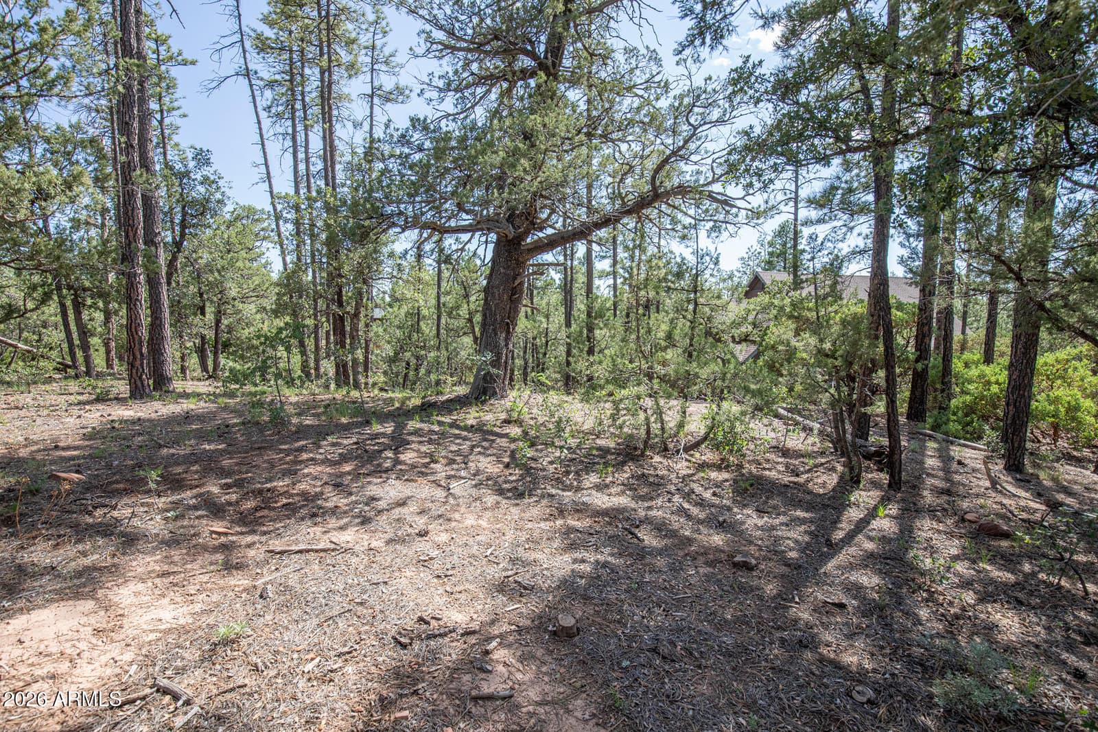 243 N WILD OAK Drive, Payson, AZ 85541 — photo 39 of 47