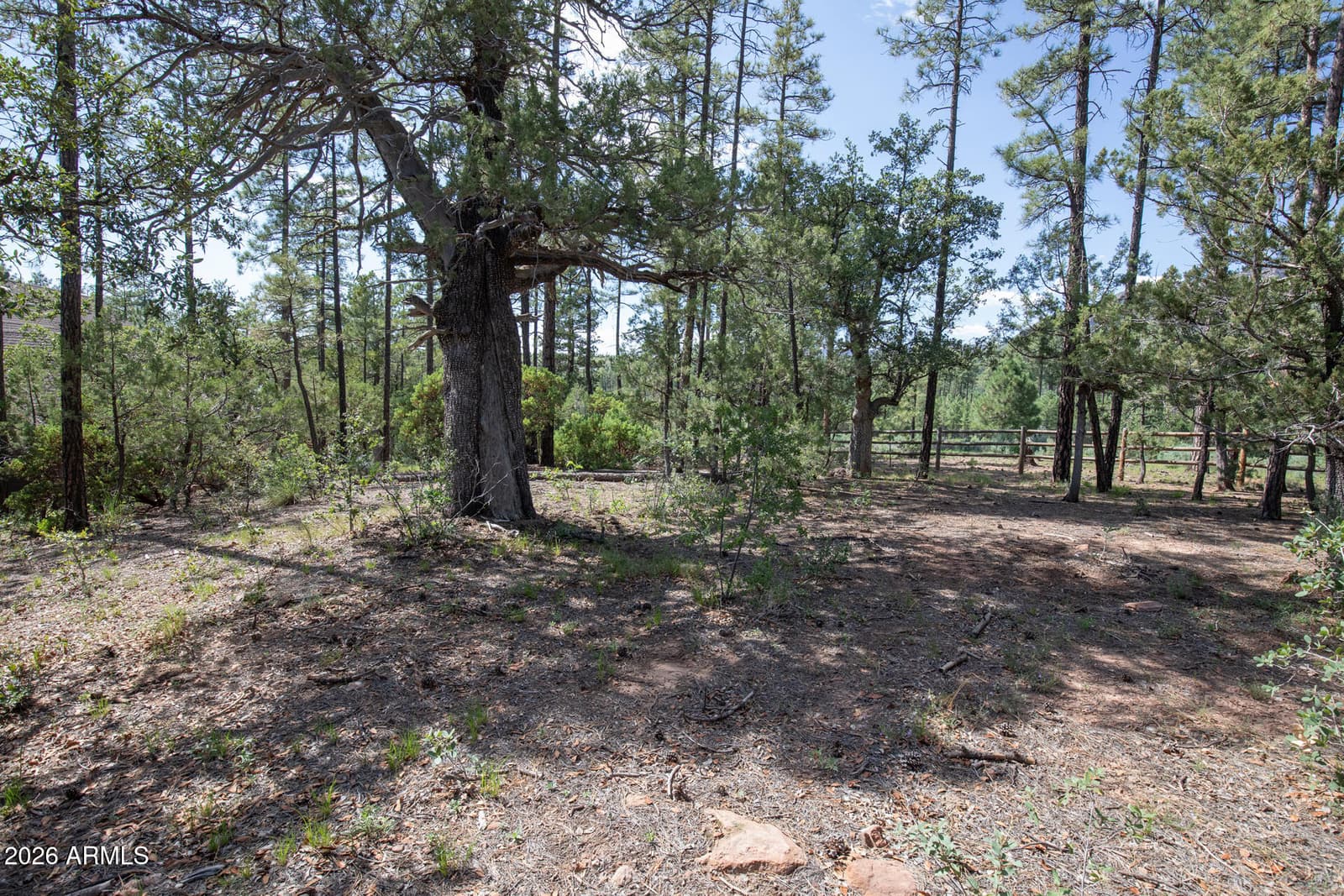 243 N WILD OAK Drive, Payson, AZ 85541 — photo 42 of 47