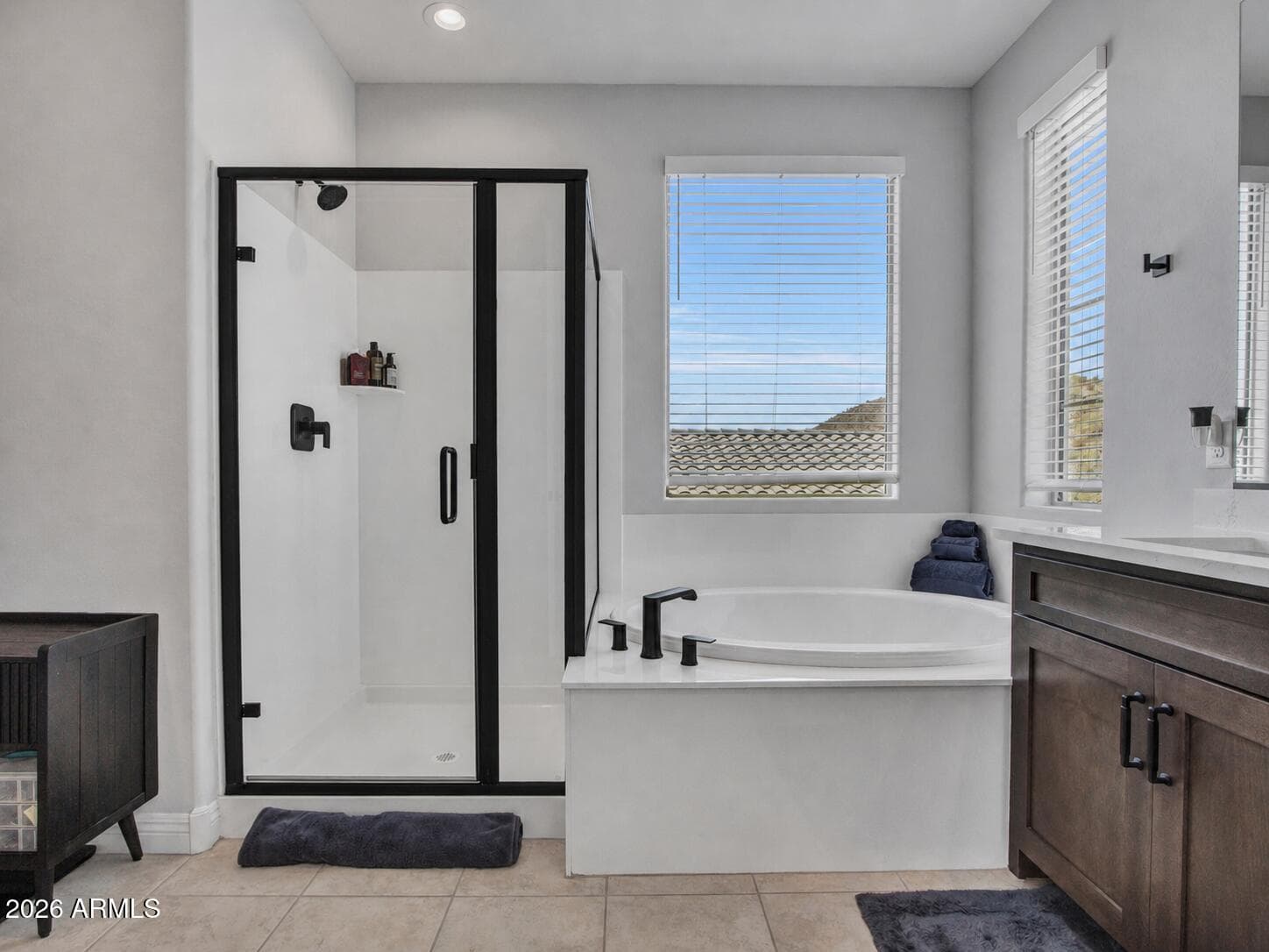 31768 N 138TH Lane, Peoria, AZ 85383 — photo 22 of 51