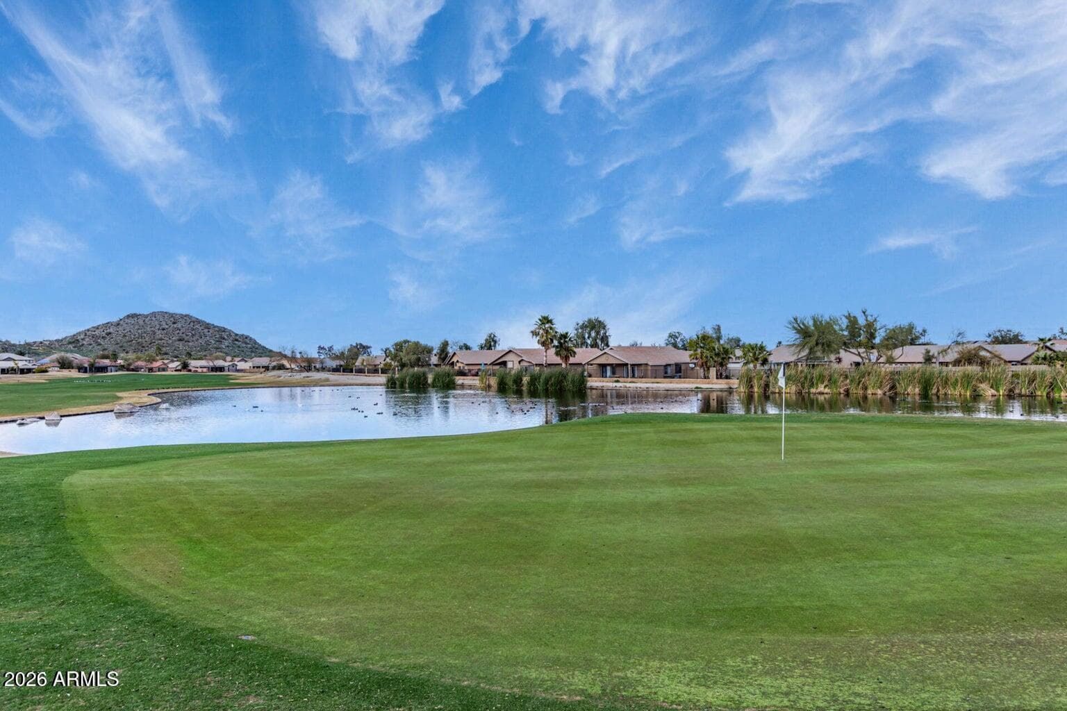 275 E DESERT HOLLY Drive, San Tan Valley, AZ 85143 — photo 75 of 75