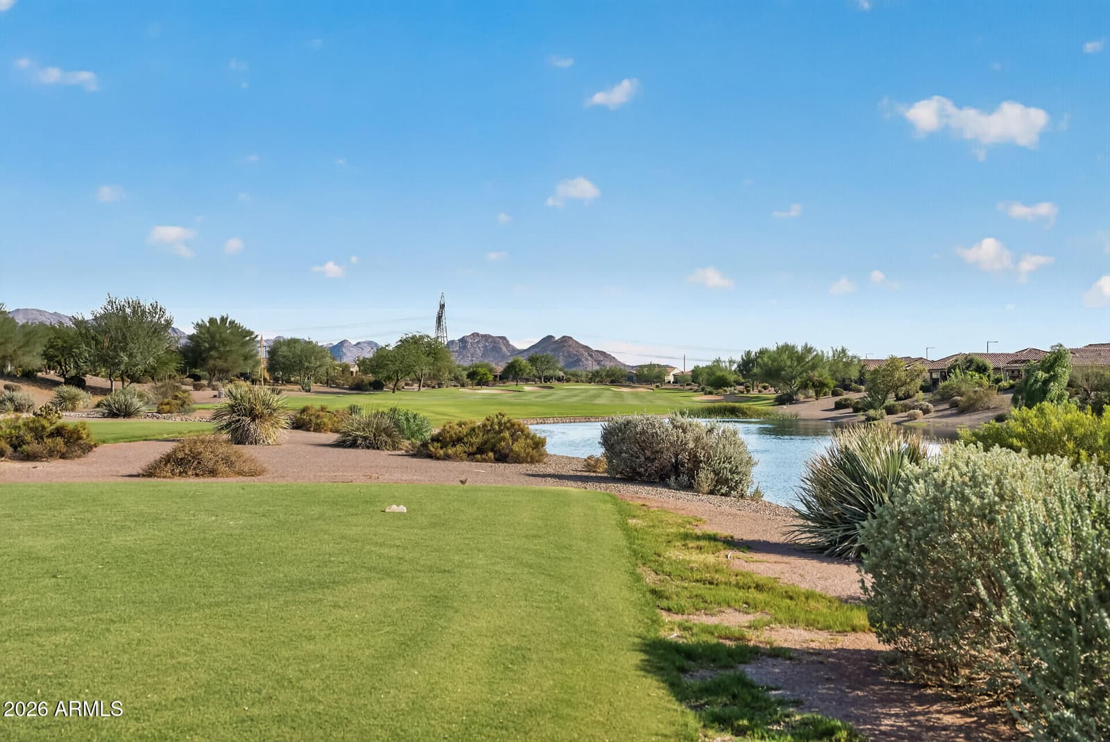 21516 N 262ND Lane, Buckeye, AZ 85396 — photo 58 of 90