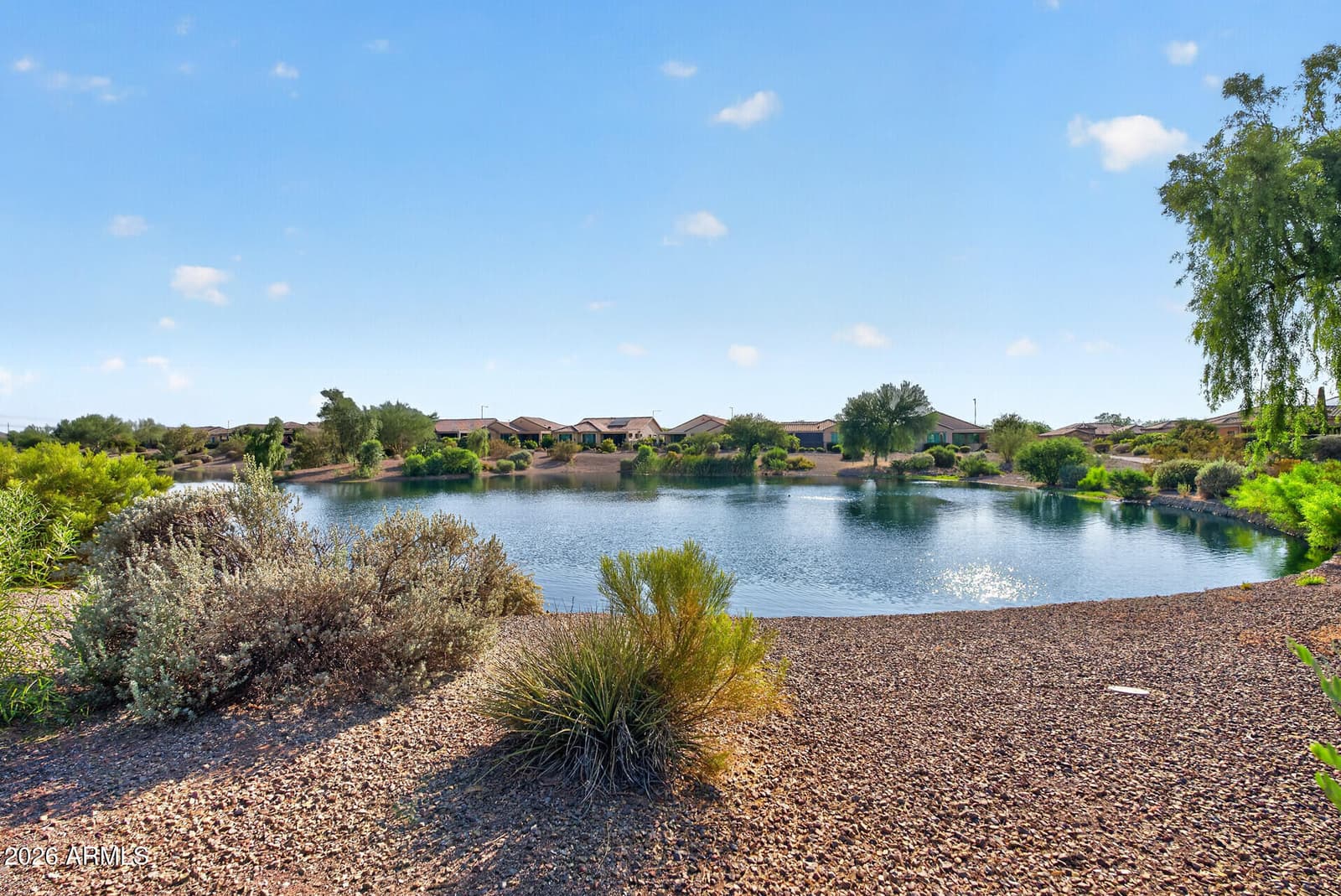 21516 N 262ND Lane, Buckeye, AZ 85396 — photo 59 of 90