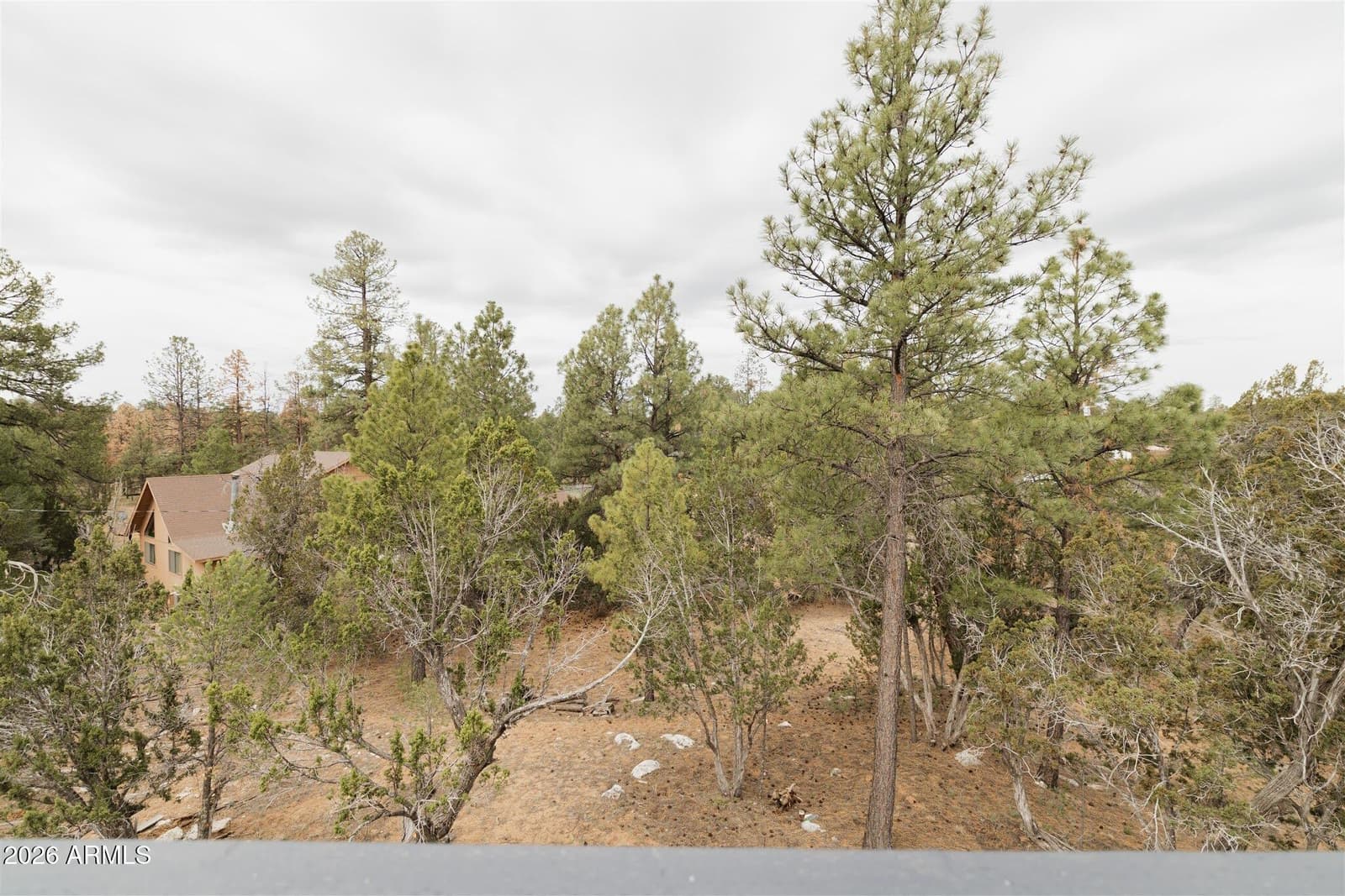 3326 Homestead Drive, Overgaard, AZ 85933 — photo 30 of 48