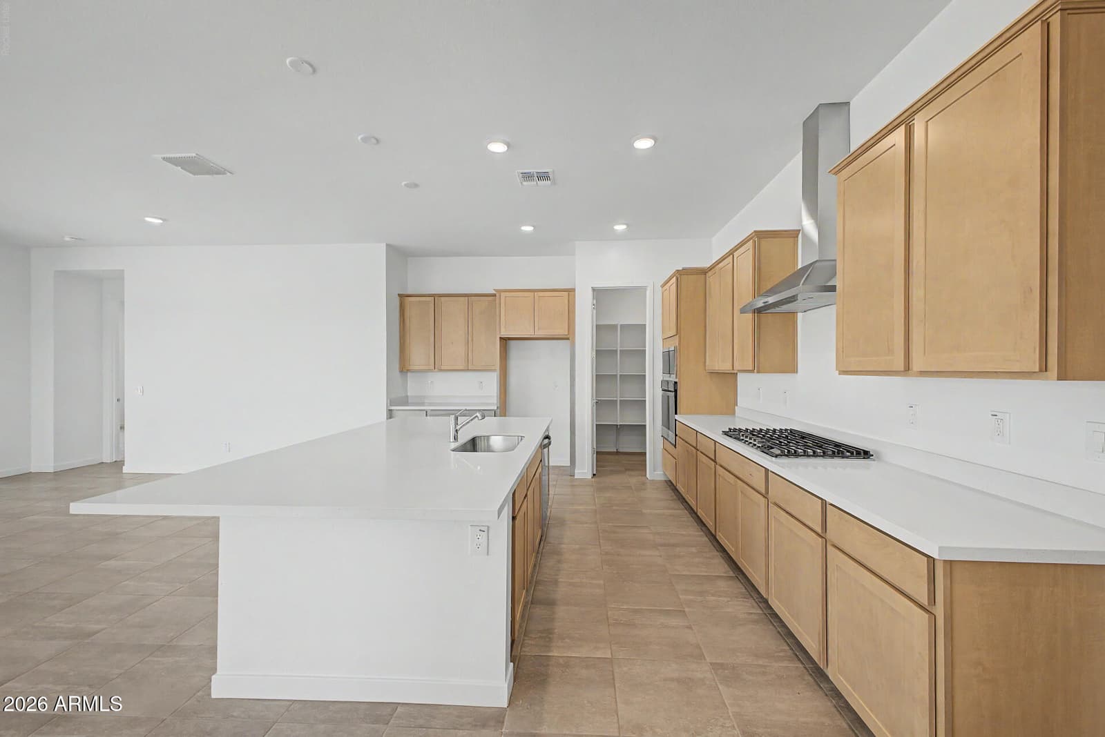 356 W FLOYD Drive, San Tan Valley, AZ 85140 — photo 3 of 17