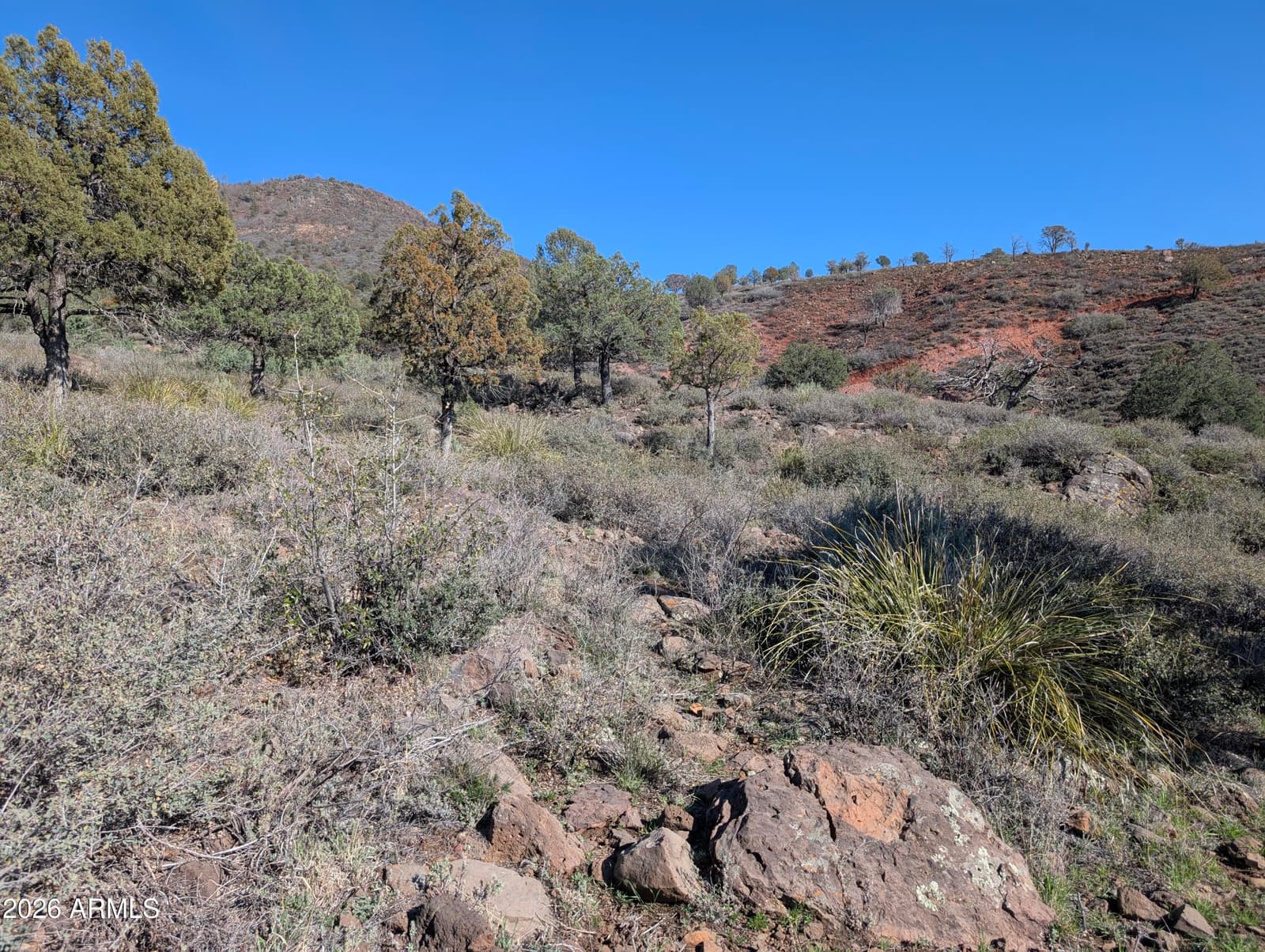 3850 N MAZATZAL Vista, Pine, AZ 85544 — photo 23 of 157
