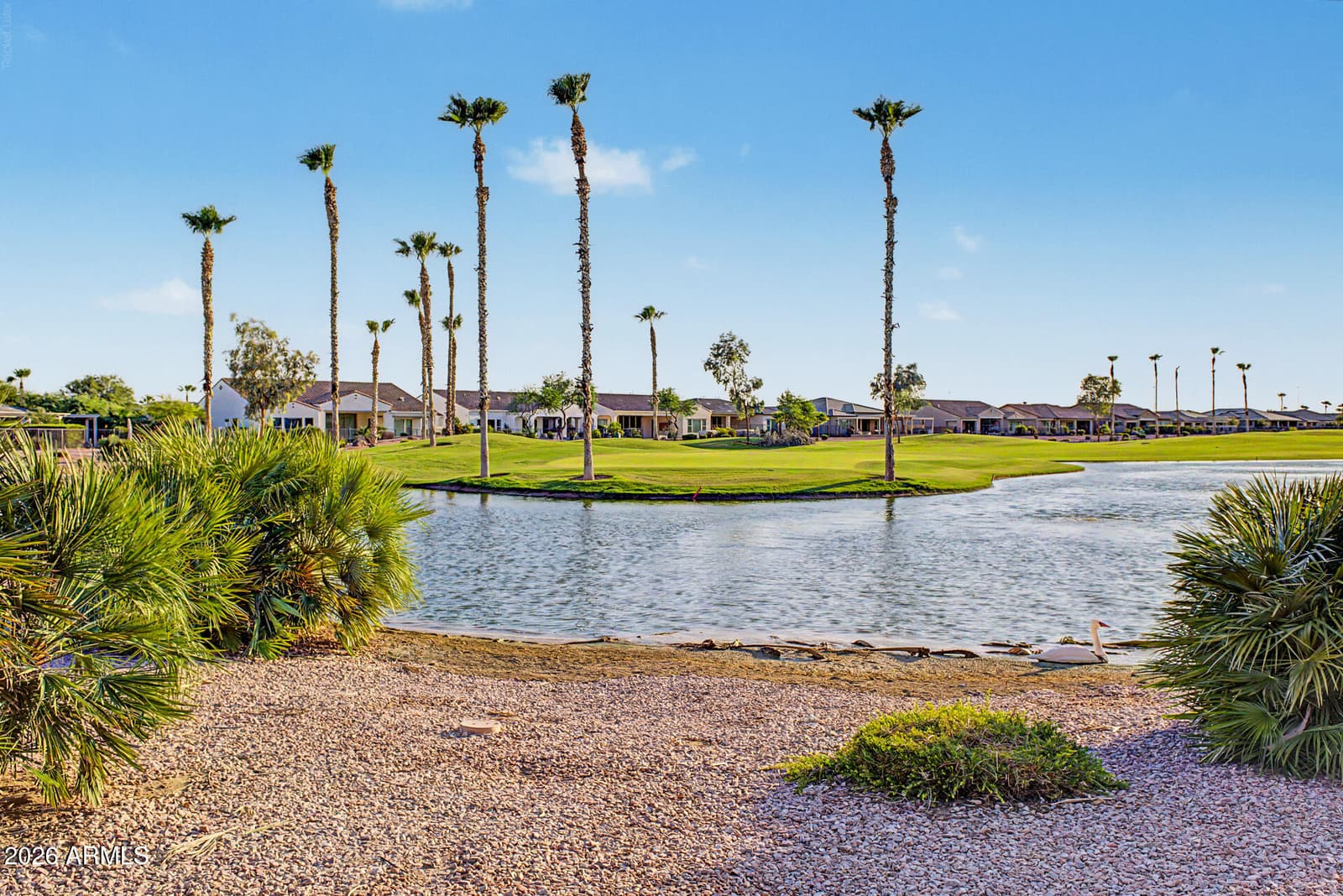 16585 W MONTEREY Way, Goodyear, AZ 85395 — photo 81 of 116