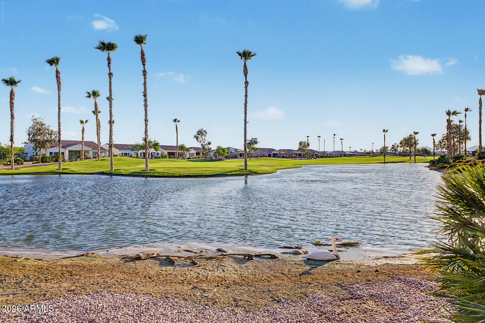 16585 W MONTEREY Way, Goodyear, AZ 85395 — photo 82 of 116