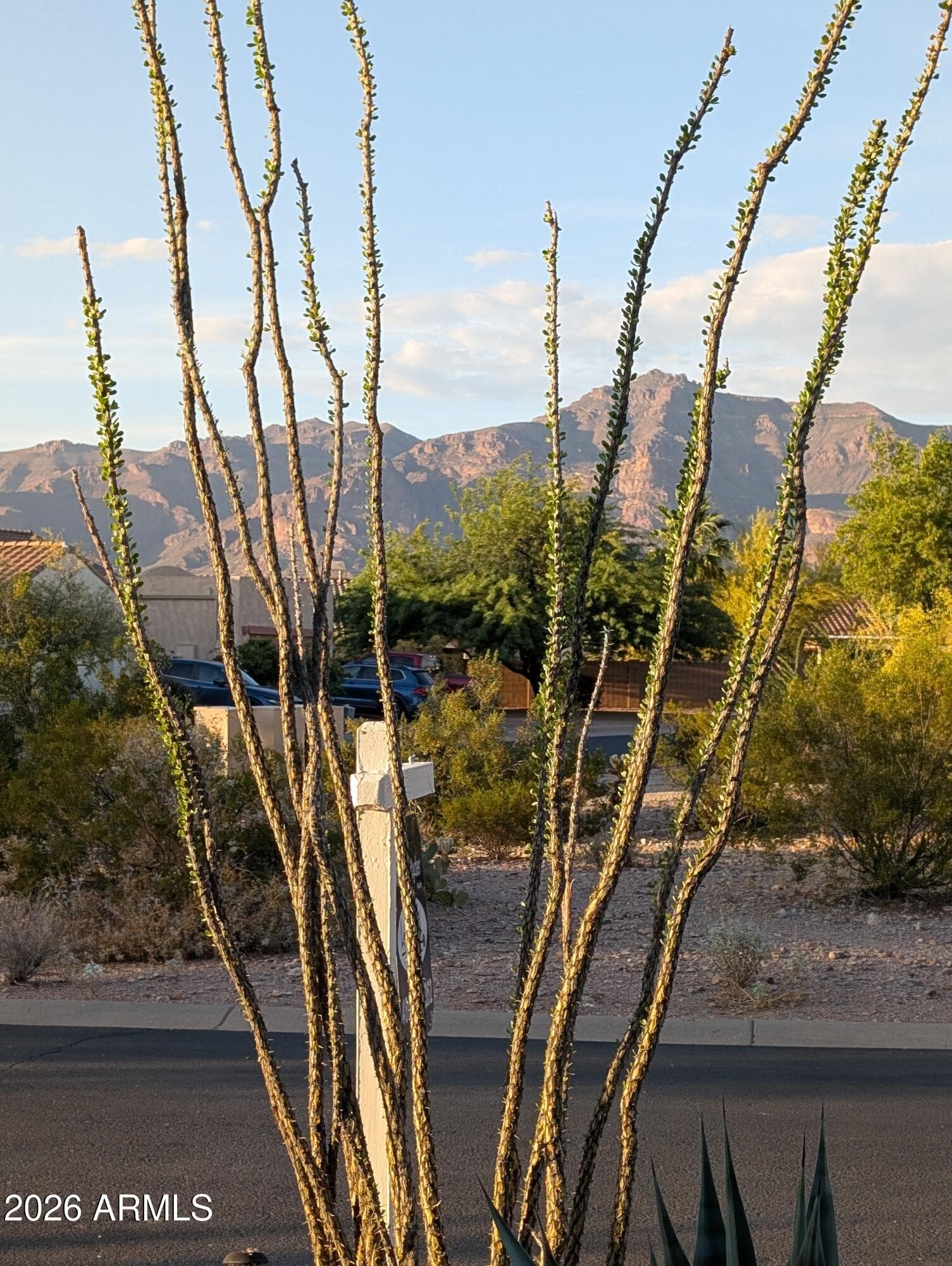 10691 E Surveyor Court, Gold Canyon, AZ 85118 — photo 3 of 24
