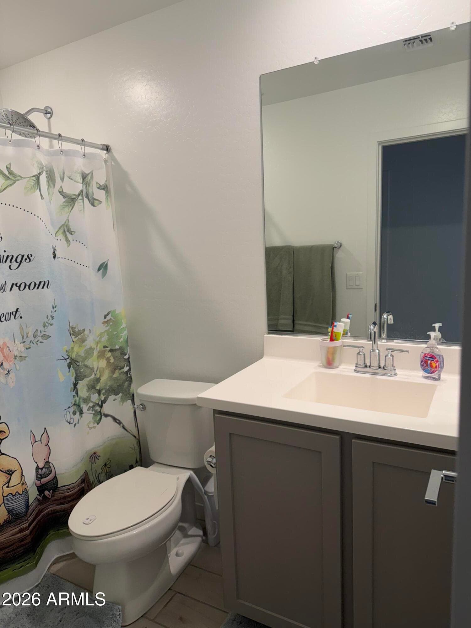 1769 N 209TH Avenue, Buckeye, AZ 85396 — photo 19 of 23