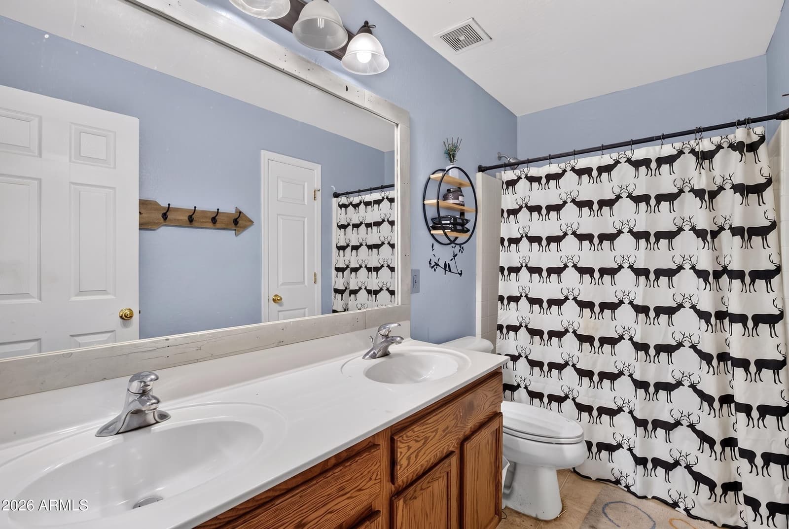 11825 W MOHAVE Street, Avondale, AZ 85323 — photo 33 of 44