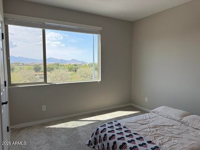 10764 W Villa Street, Avondale, AZ 85323 — photo 49 of 55