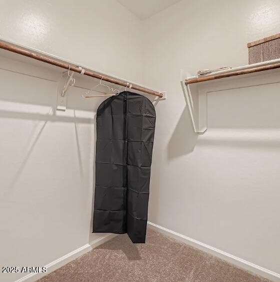 30248 W WILD HAZEL Drive, Buckeye, AZ 85396 — photo 13 of 18