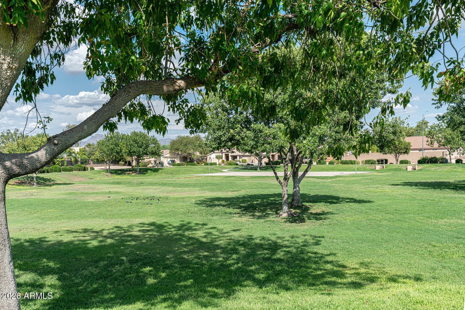 2024 S BALDWIN 93, Mesa, AZ 85209 — photo 37 of 39