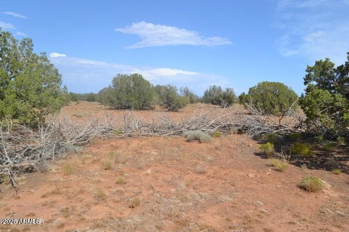 1771 W RIDGEVIEW RANCH Drive, Snowflake, AZ 85937 — photo 11 of 29