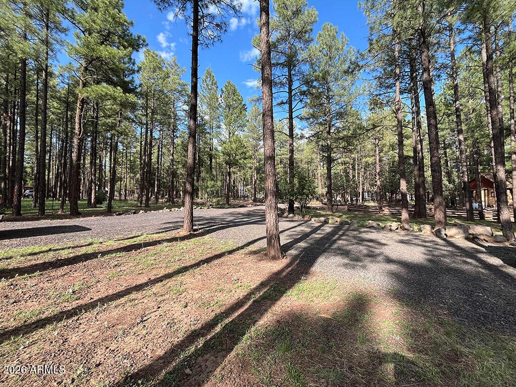 174 ELK Drive, Lakeside, AZ 85929 — photo 43 of 52