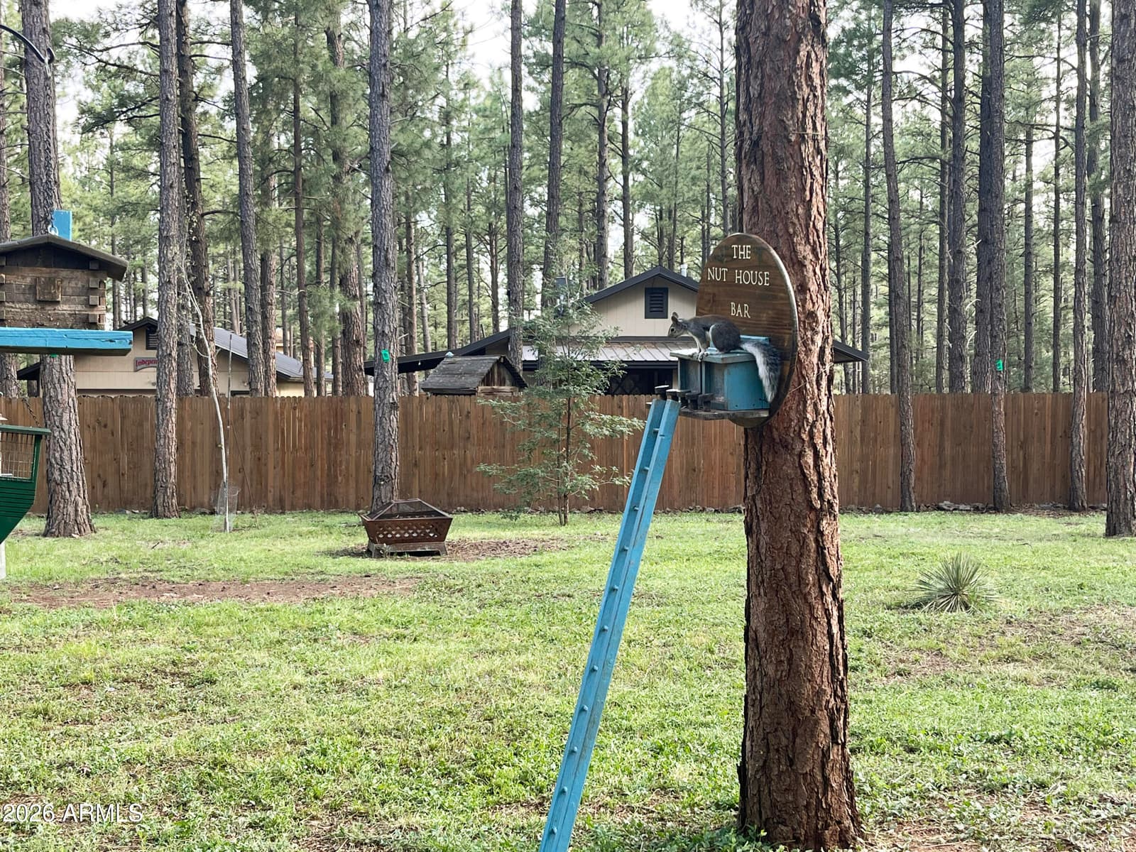 174 ELK Drive, Lakeside, AZ 85929 — photo 45 of 52