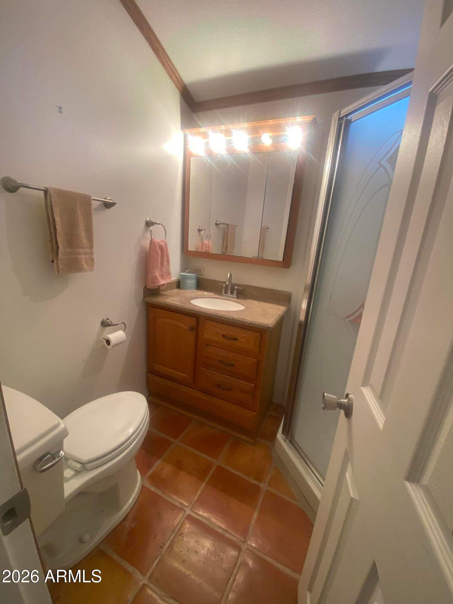 1522 S OMAHA Drive, Apache Junction, AZ 85119 — photo 20 of 49