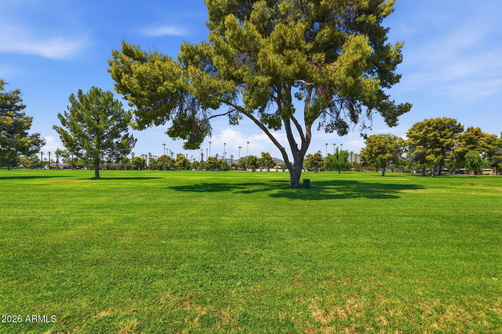 1116 W LAS PALMARITAS Drive, Phoenix, AZ 85021 — photo 42 of 48
