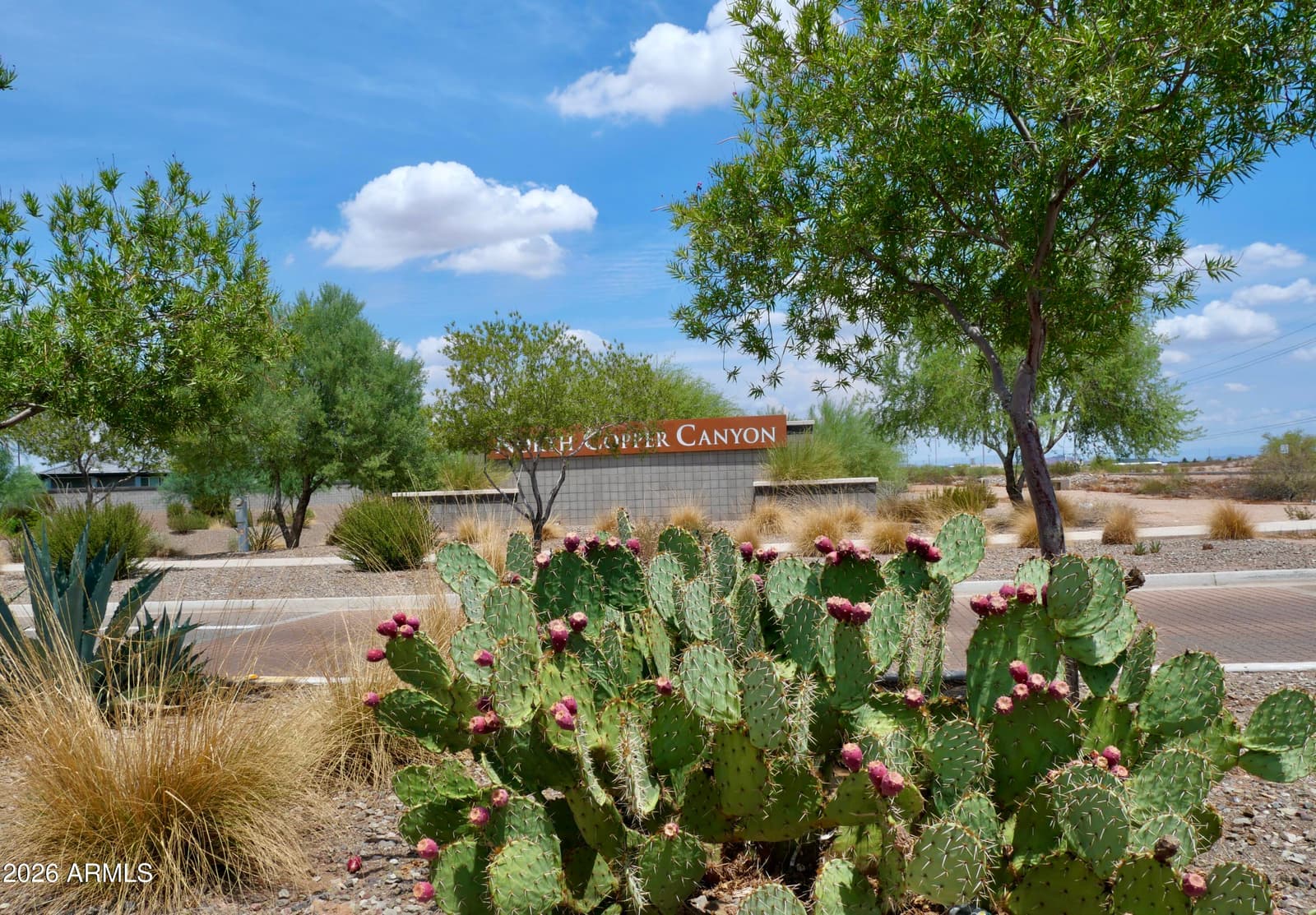 17639 W COUNTRY CLUB Terrace, Surprise, AZ 85387 — photo 33 of 33