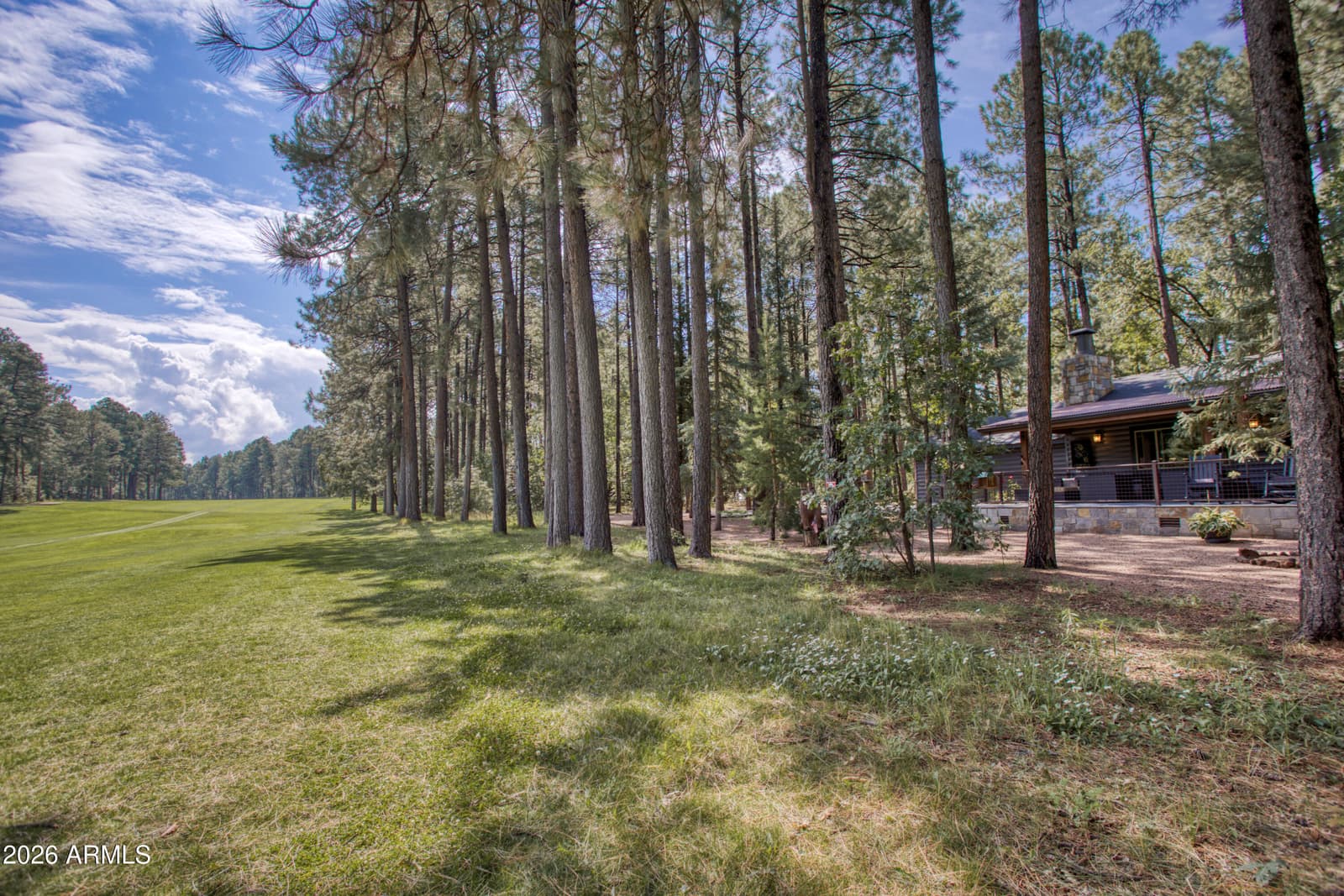 2864 WOODPECKER Lane, Pinetop, AZ 85935 — photo 37 of 44
