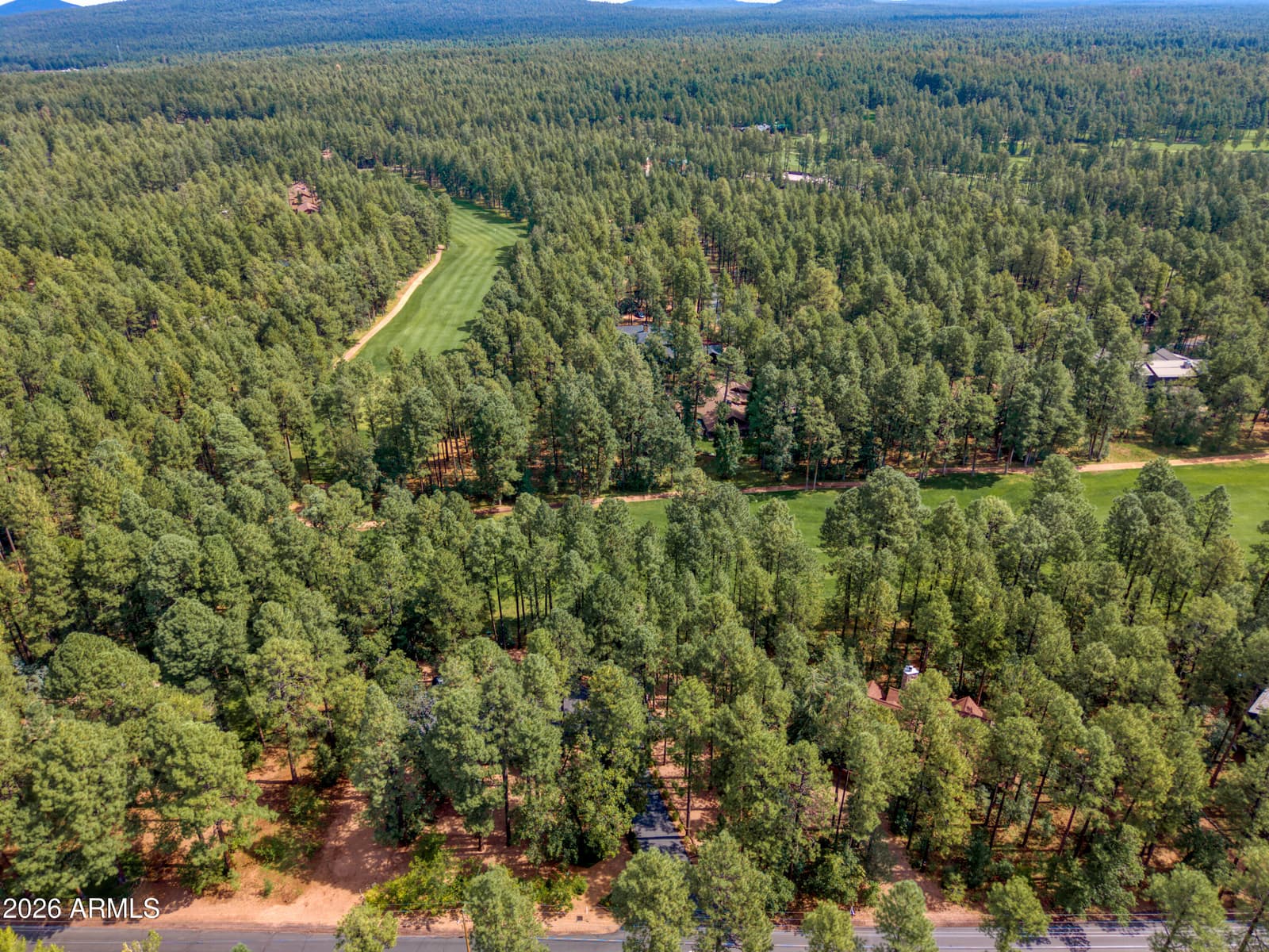 2864 WOODPECKER Lane, Pinetop, AZ 85935 — photo 43 of 44