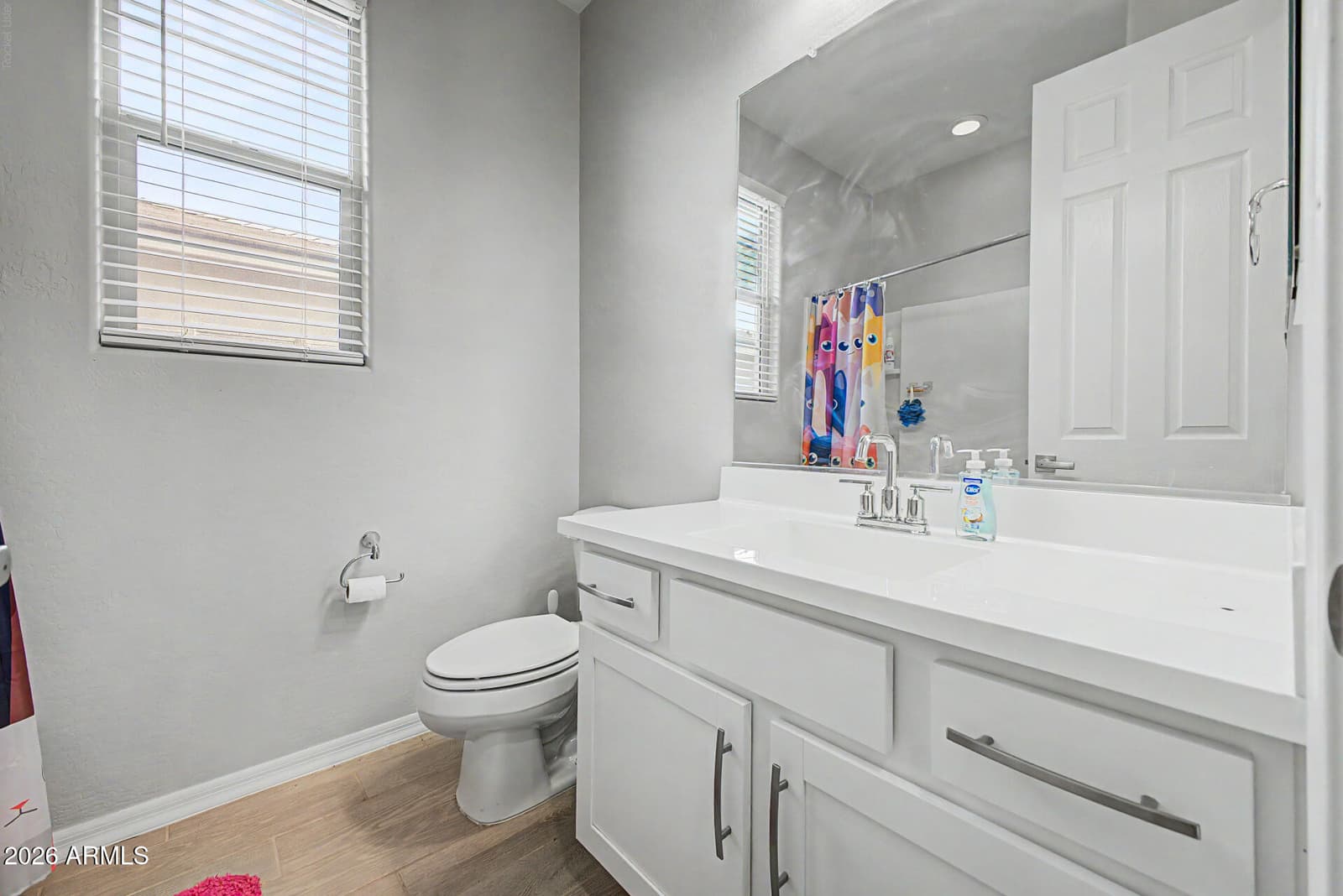 25536 S 225TH Place, Queen Creek, AZ 85142 — photo 23 of 33