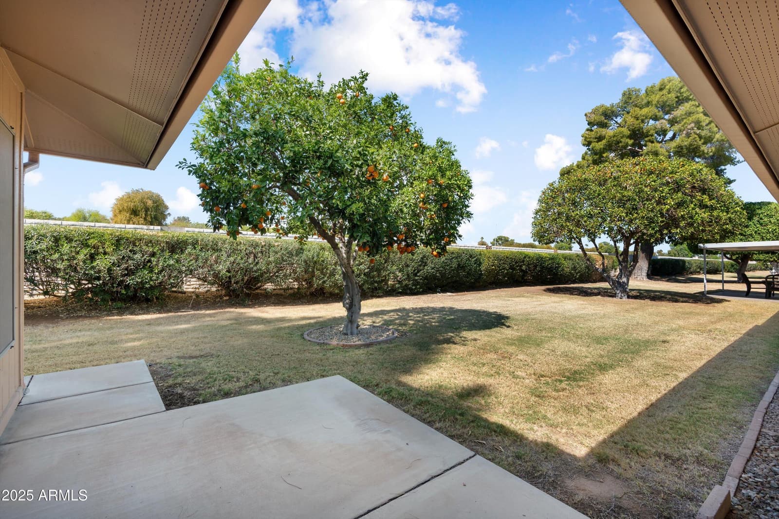 18018 N Highwood Court, Sun City, AZ 85373 — photo 28 of 30