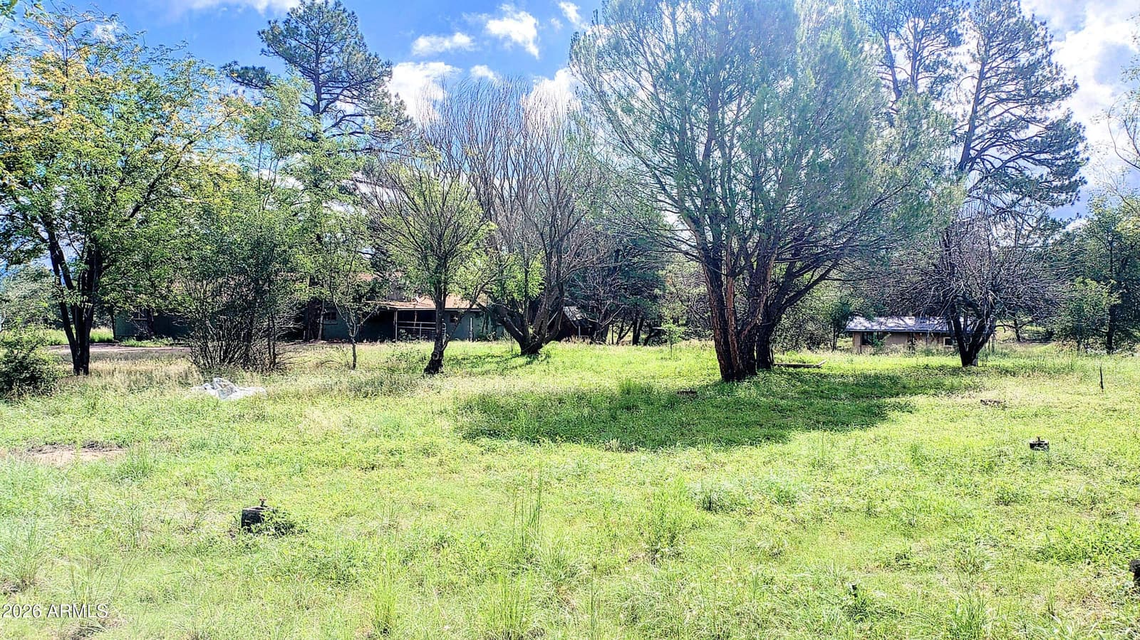 45985 N AZ HIGHWAY 288, Young, AZ 85554 — photo 4 of 55