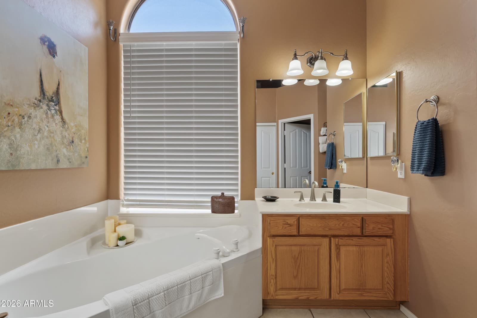 1278 S Monterey Street, Gilbert, AZ 85233 — photo 19 of 48