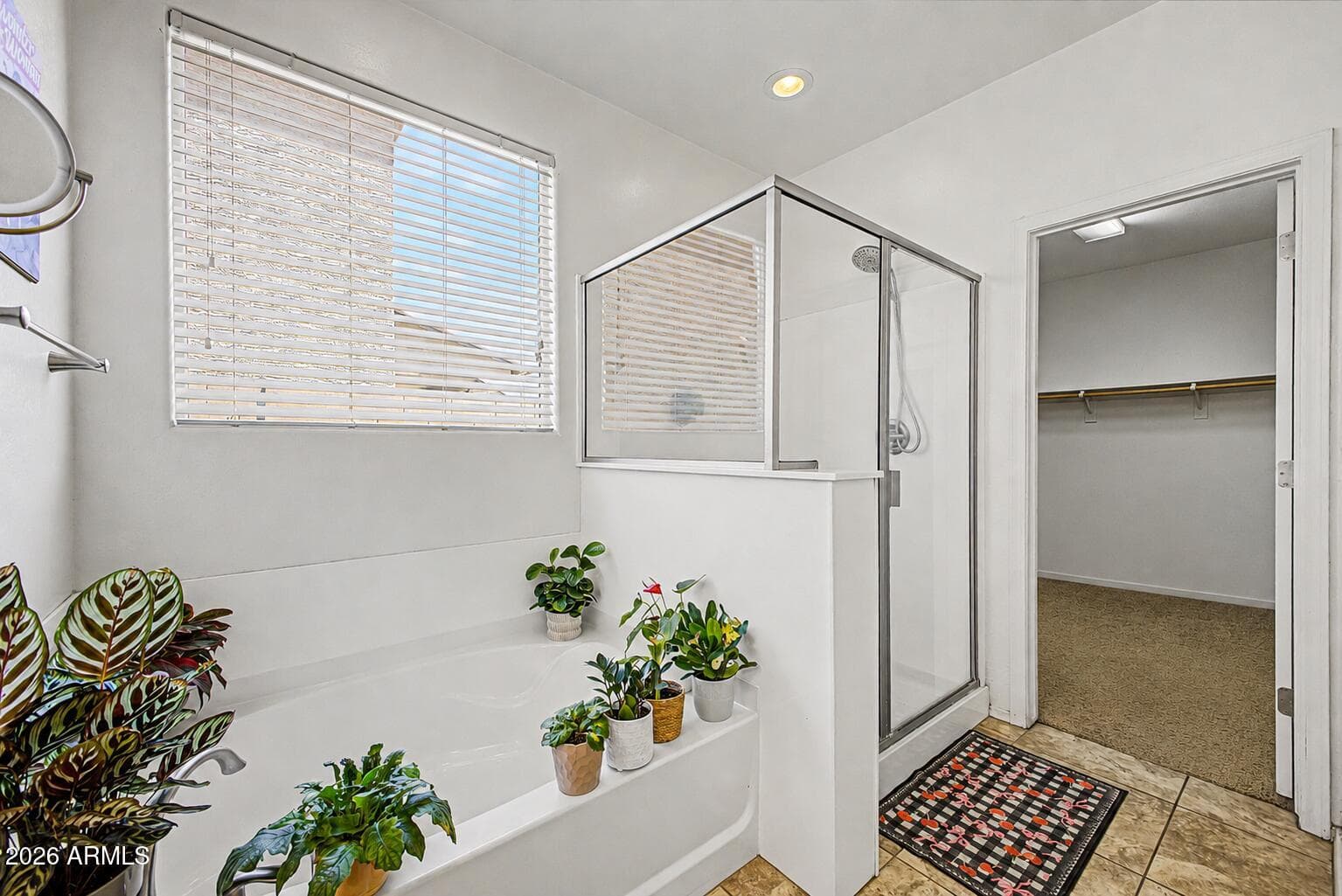 16855 W ADAMS Street, Goodyear, AZ 85338 — photo 18 of 43