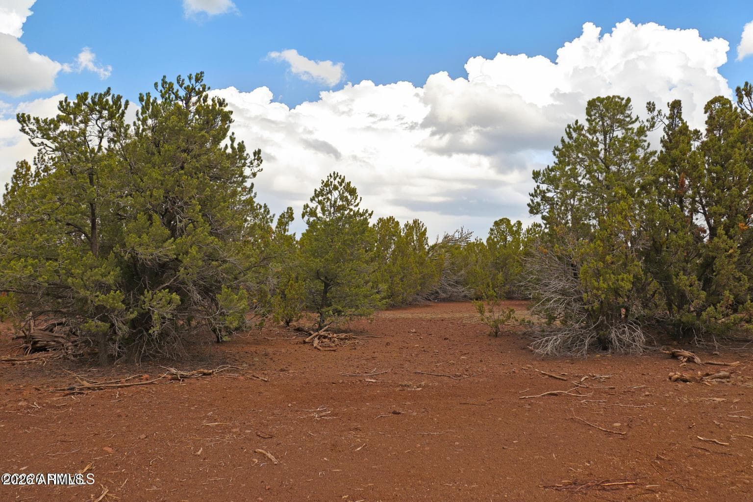 2067 E Spruce Street, Williams, AZ 86046 — photo 18 of 19