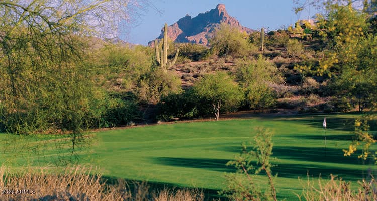 16800 E EL LAGO Boulevard 1032, Fountain Hills, AZ 85268 — photo 33 of 33