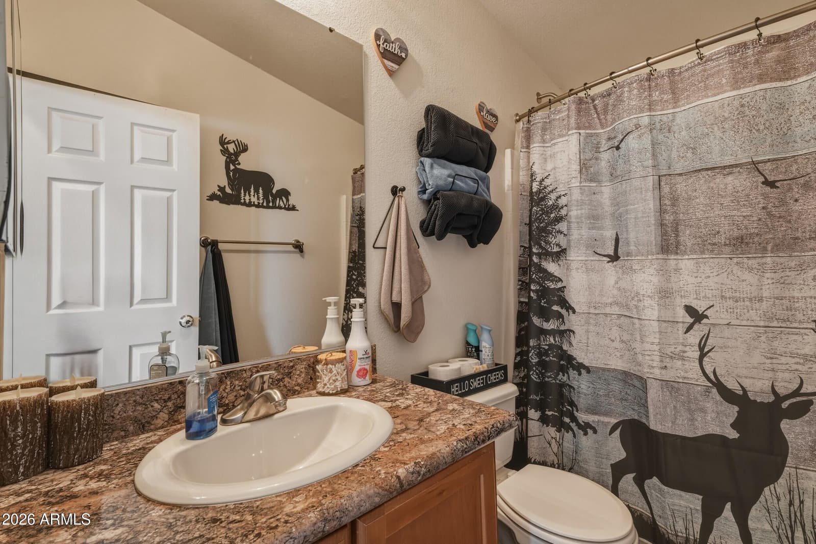 153 E Mitchell Way, Tonto Basin, AZ 85553 — photo 16 of 39