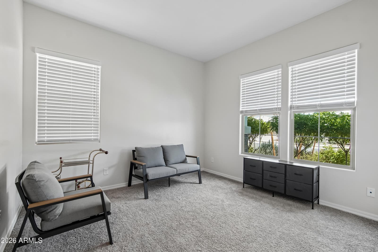 24006 N 171ST Drive, Surprise, AZ 85387 — photo 29 of 41