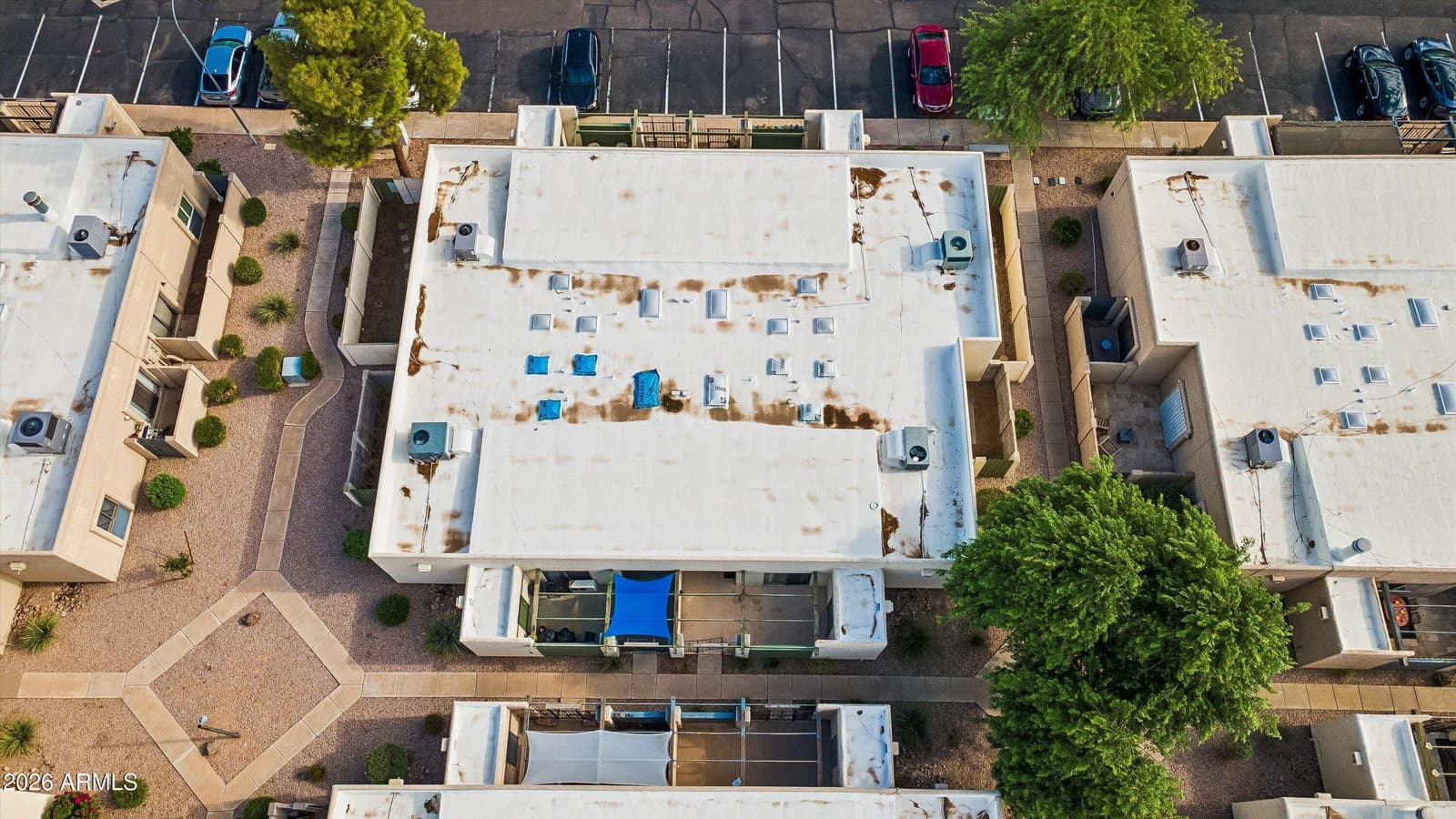 2446 E 5th Place, Tempe, AZ 85288 — photo 56 of 58
