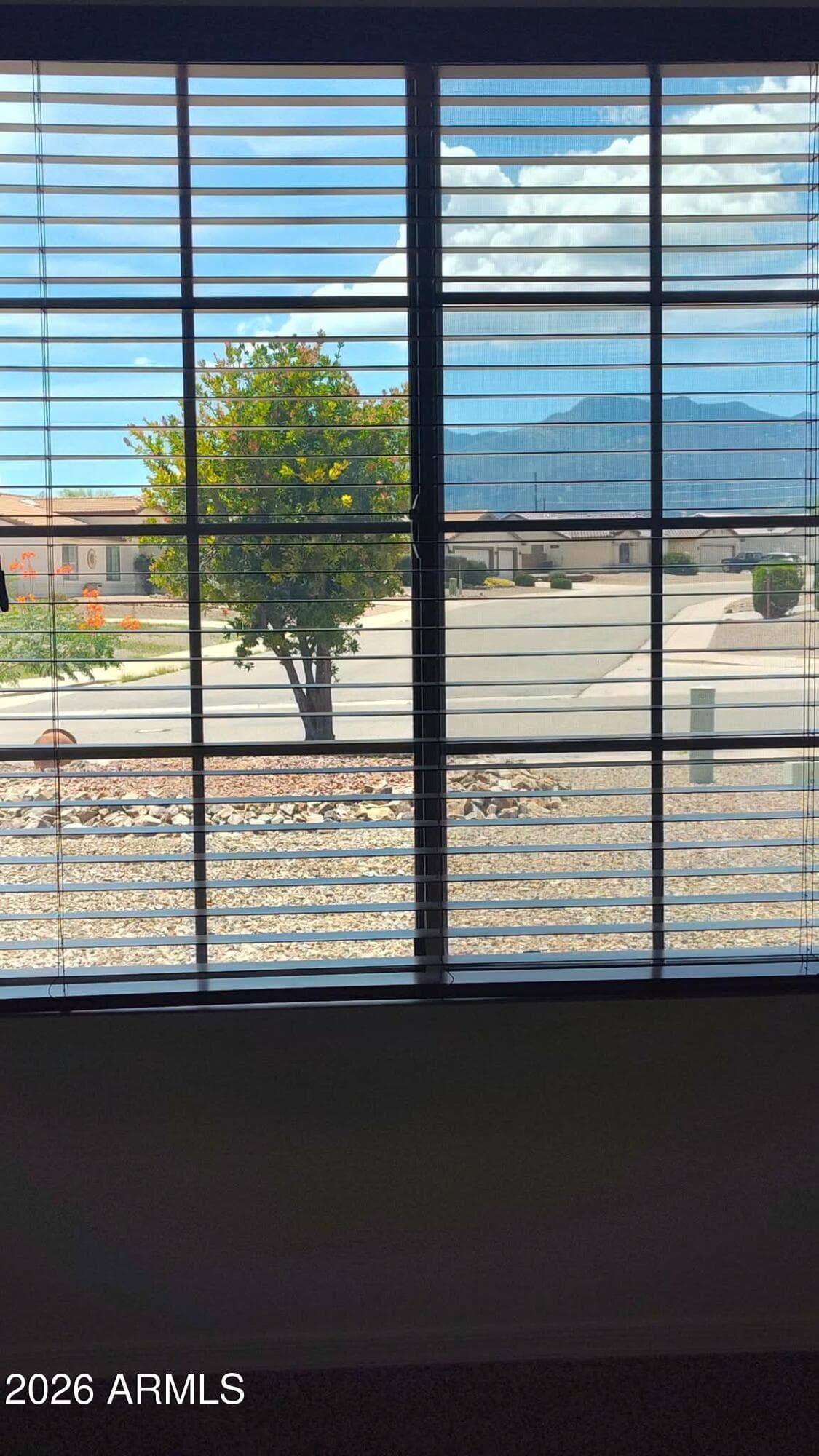 1637 San Clemente Drive, Sierra Vista, AZ 85635 — photo 23 of 35